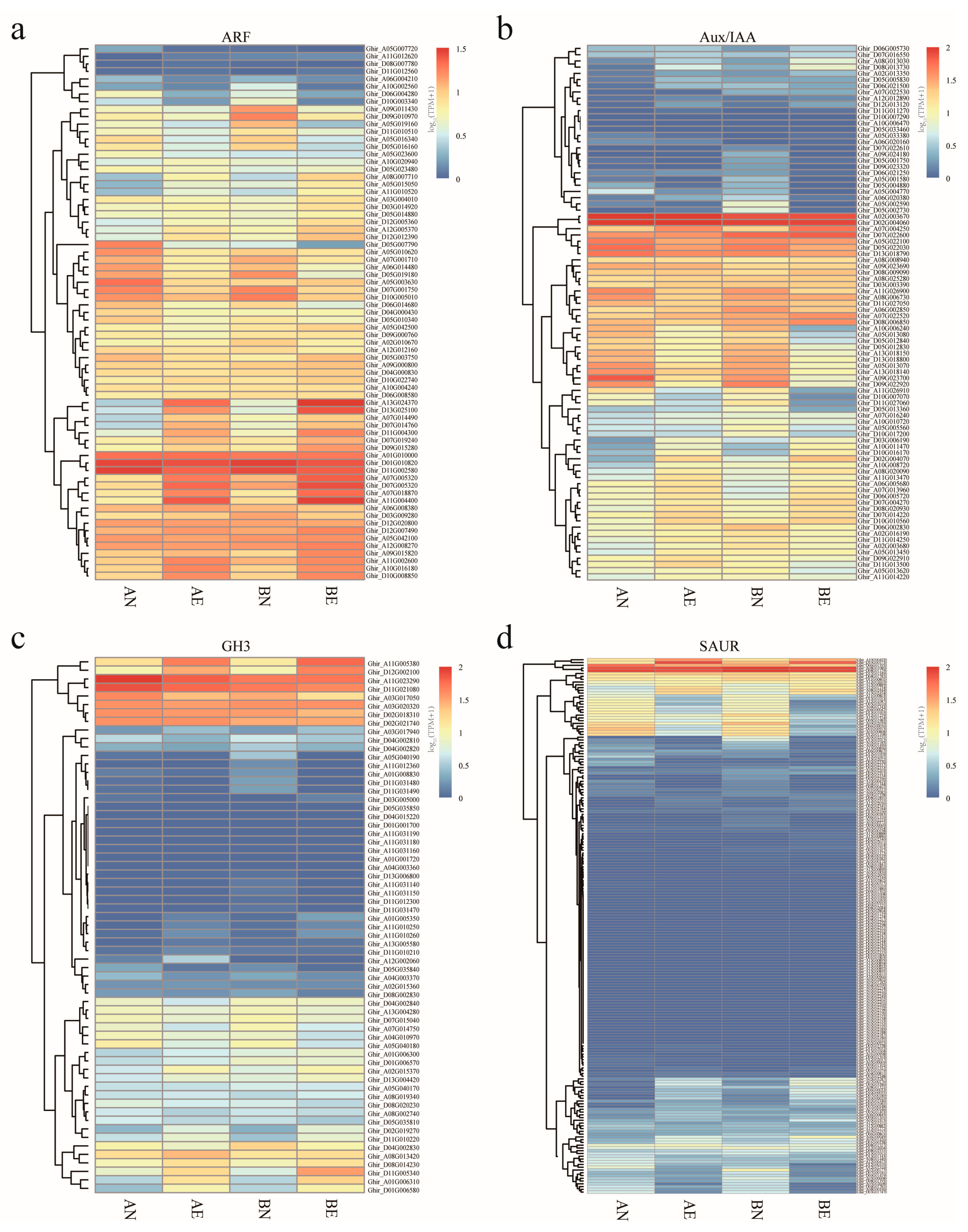 Genes 10 00730 g003 Genes 10 00730 g003