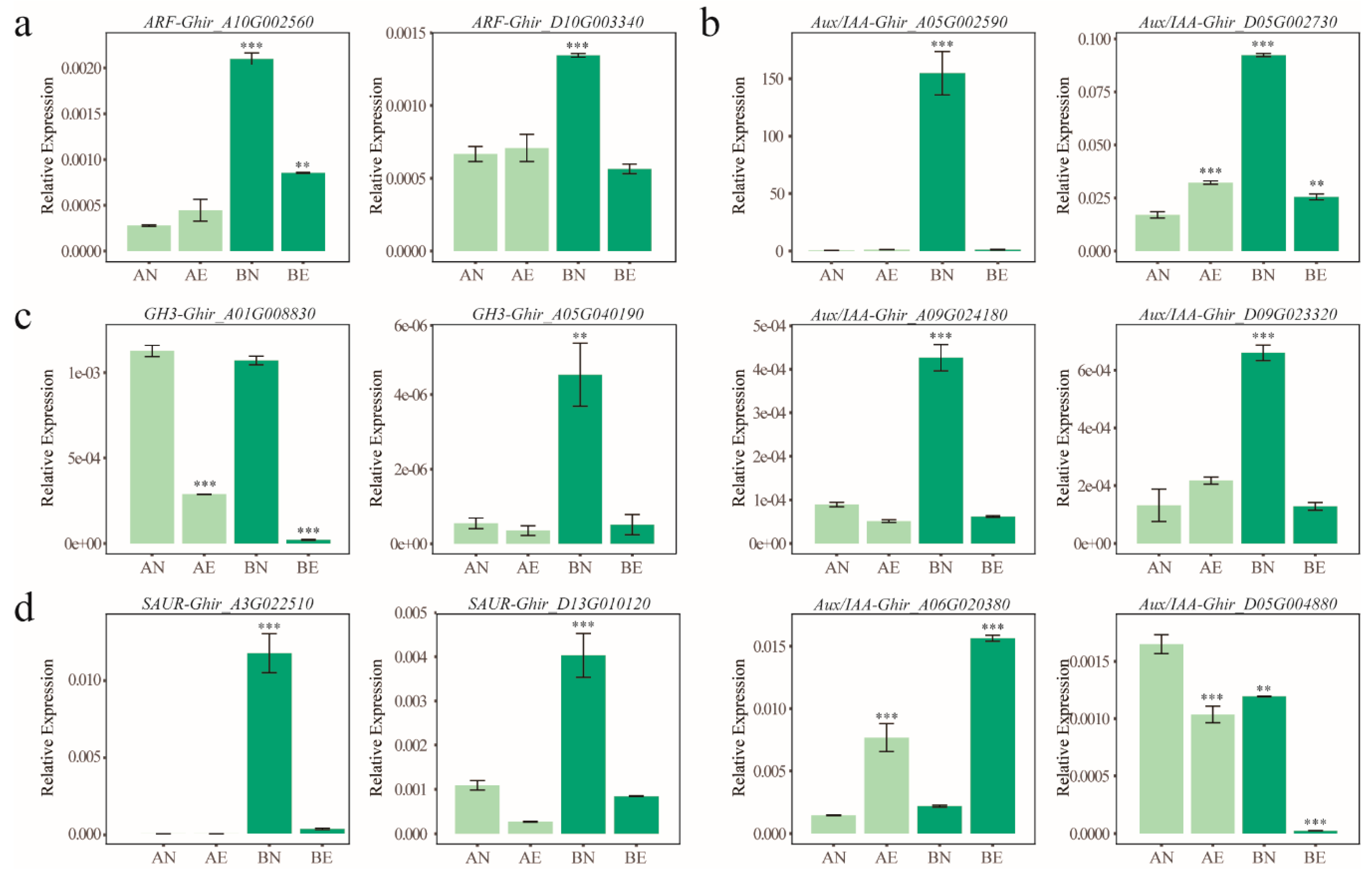 Genes 10 00730 g005 Genes 10 00730 g005