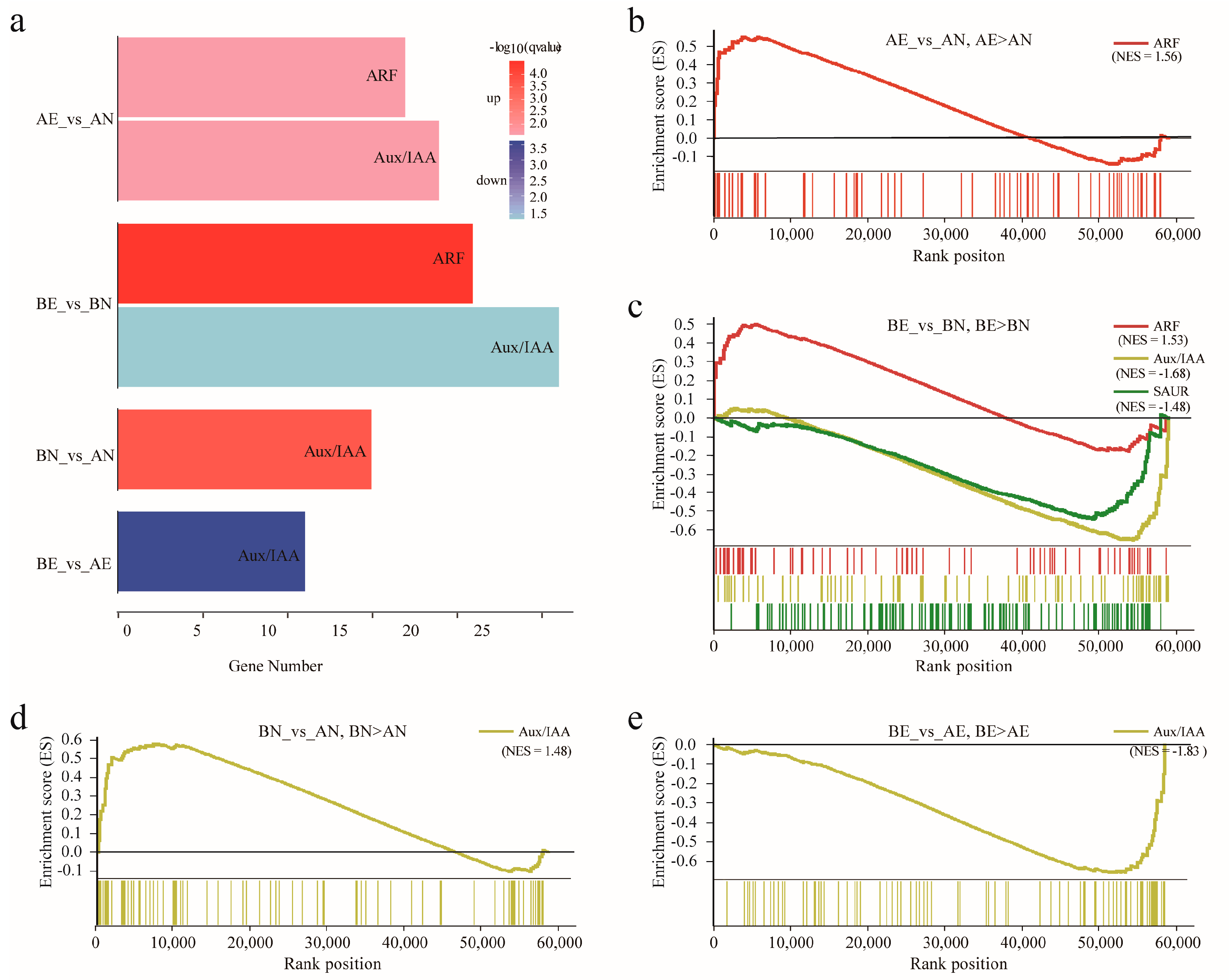 Genes 10 00730 g006 Genes 10 00730 g006