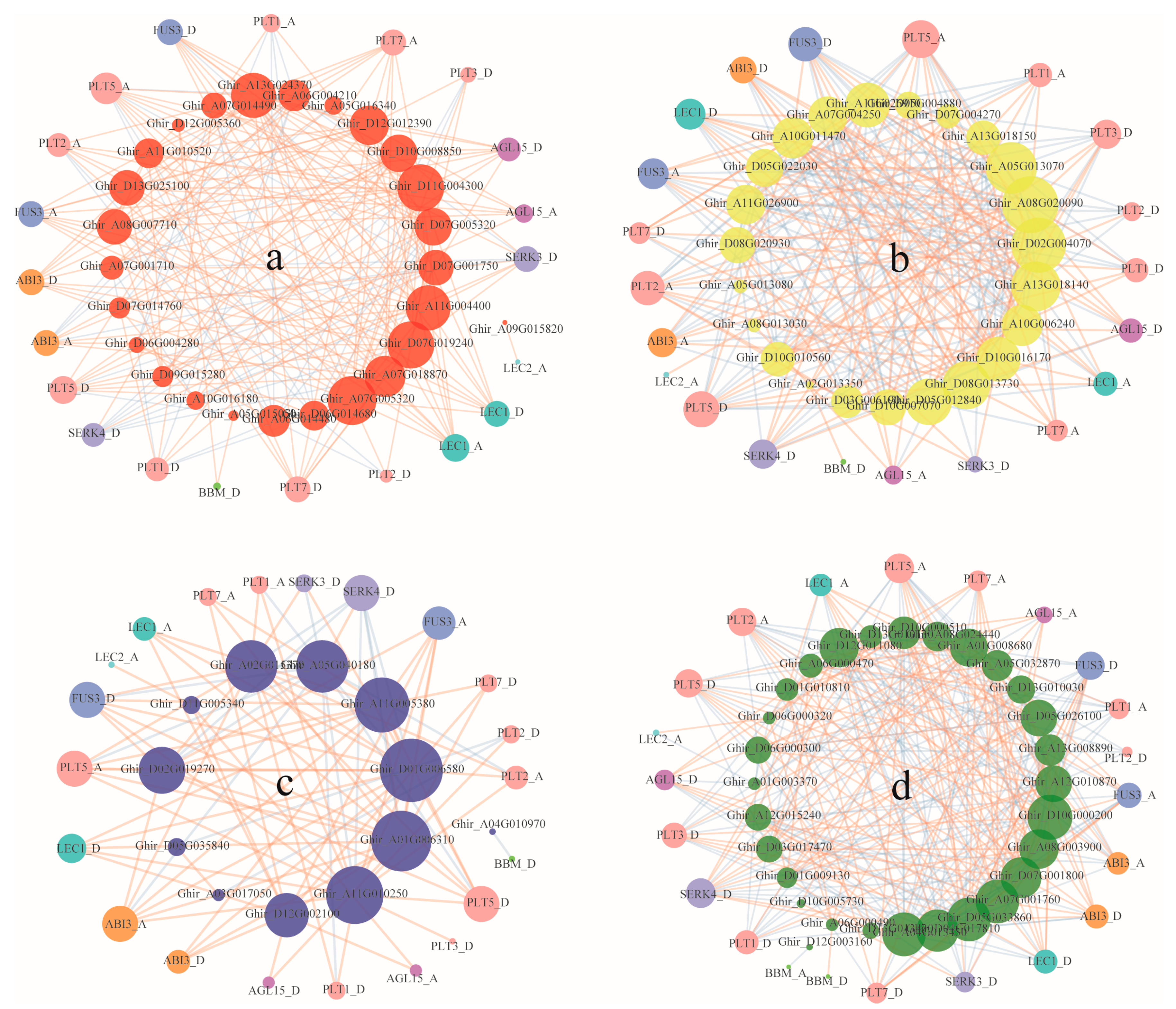 Genes 10 00730 g007 Genes 10 00730 g007