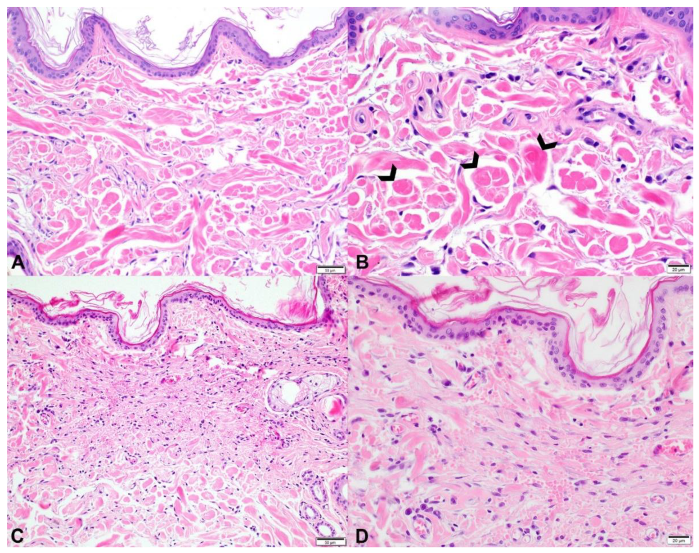 Genes 10 00731 g006