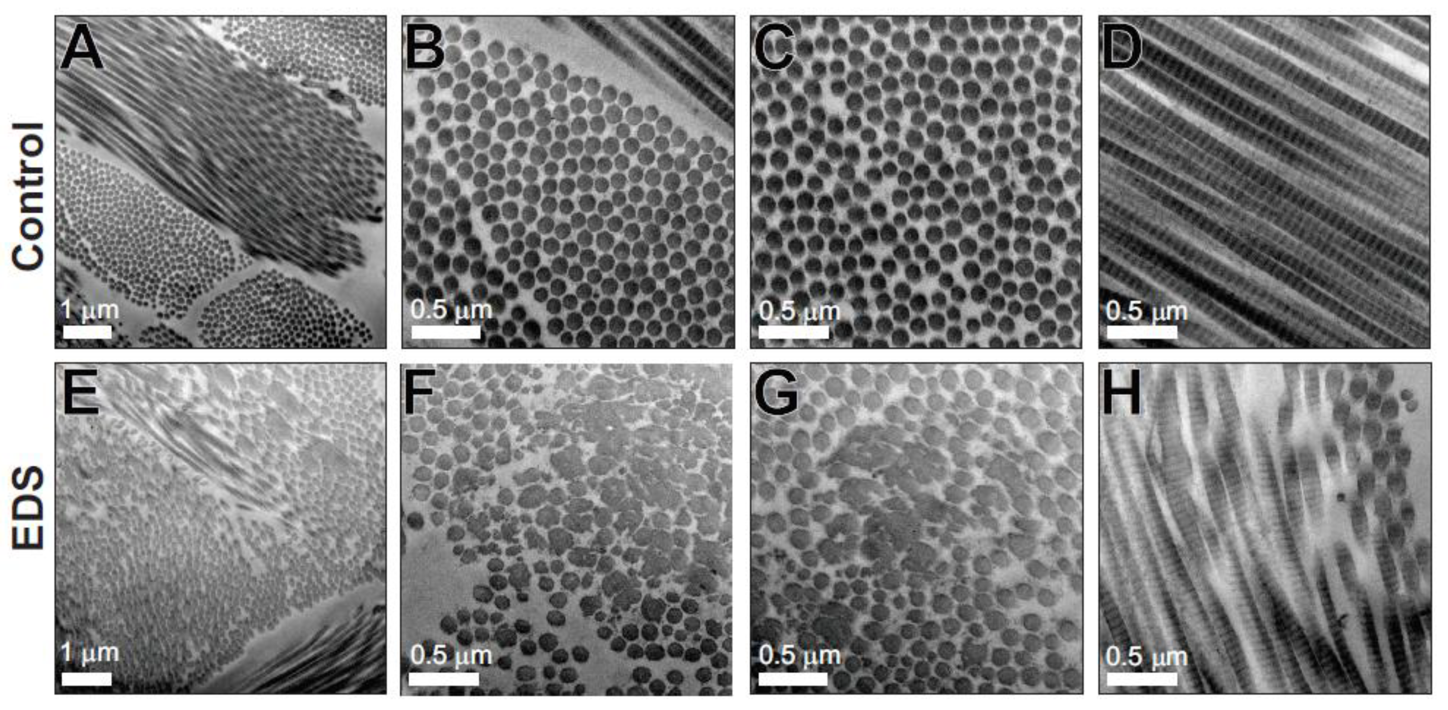 Genes 10 00731 g007