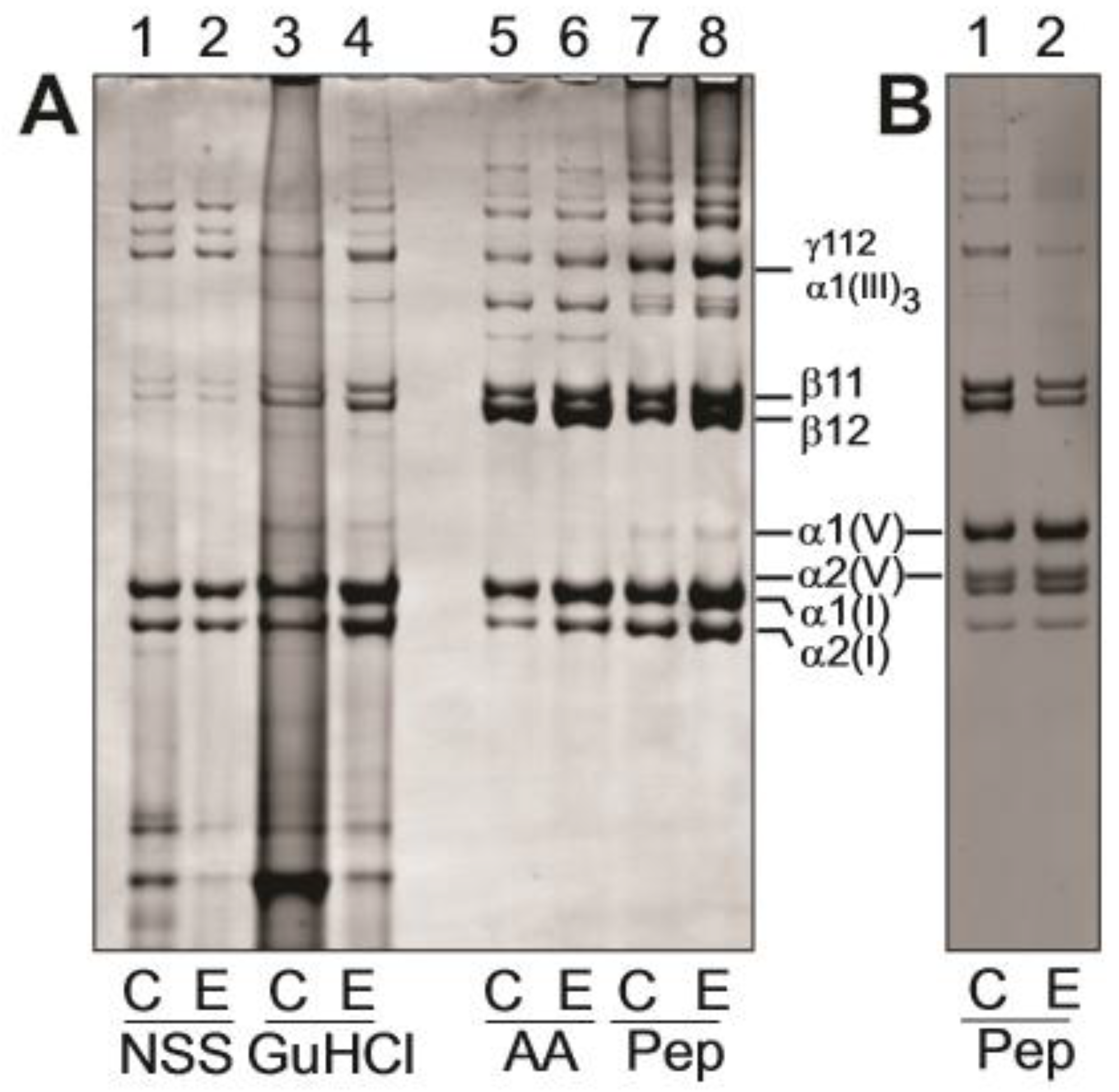 Genes 10 00731 g008