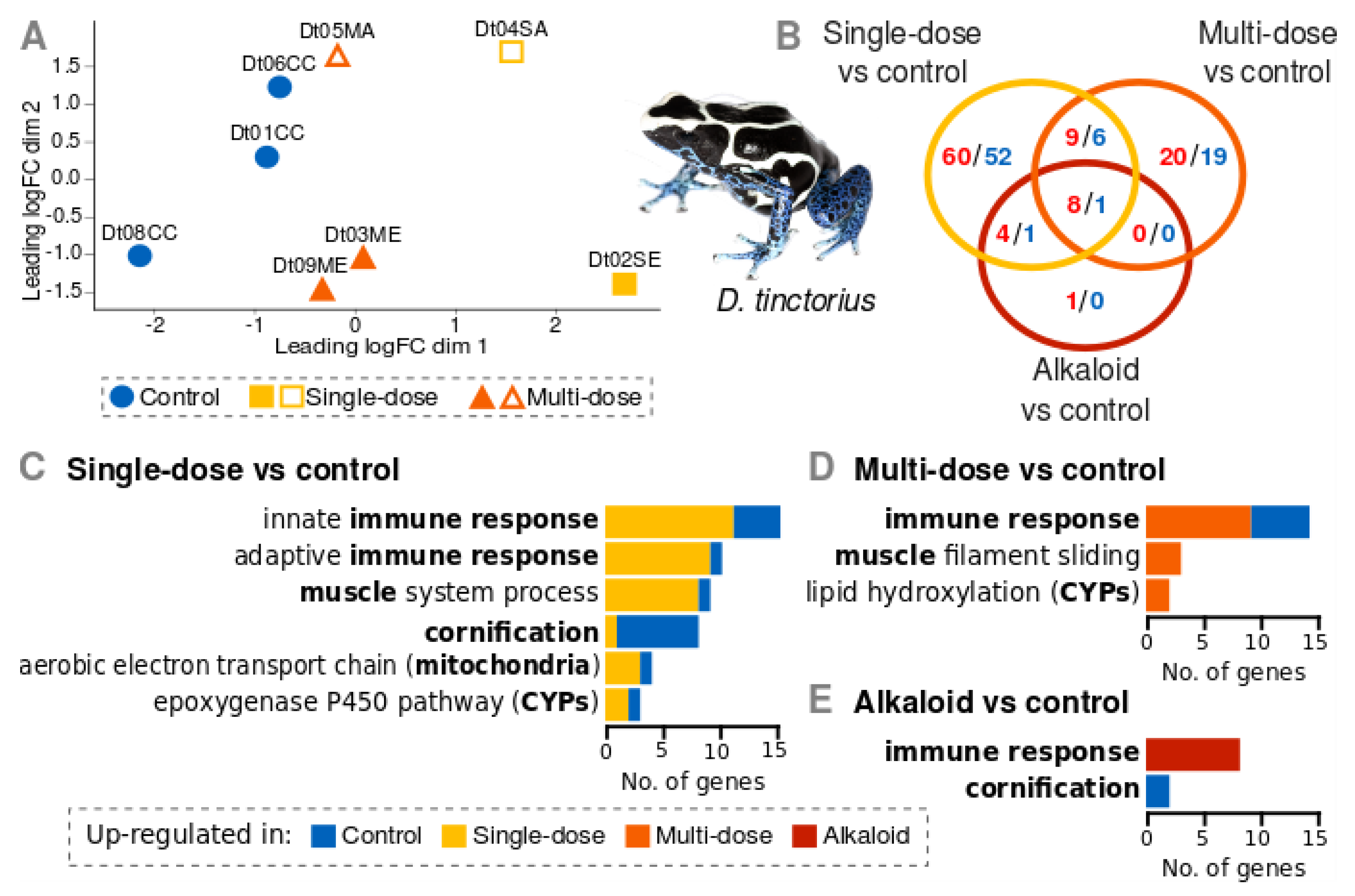 Genes 10 00733 g002