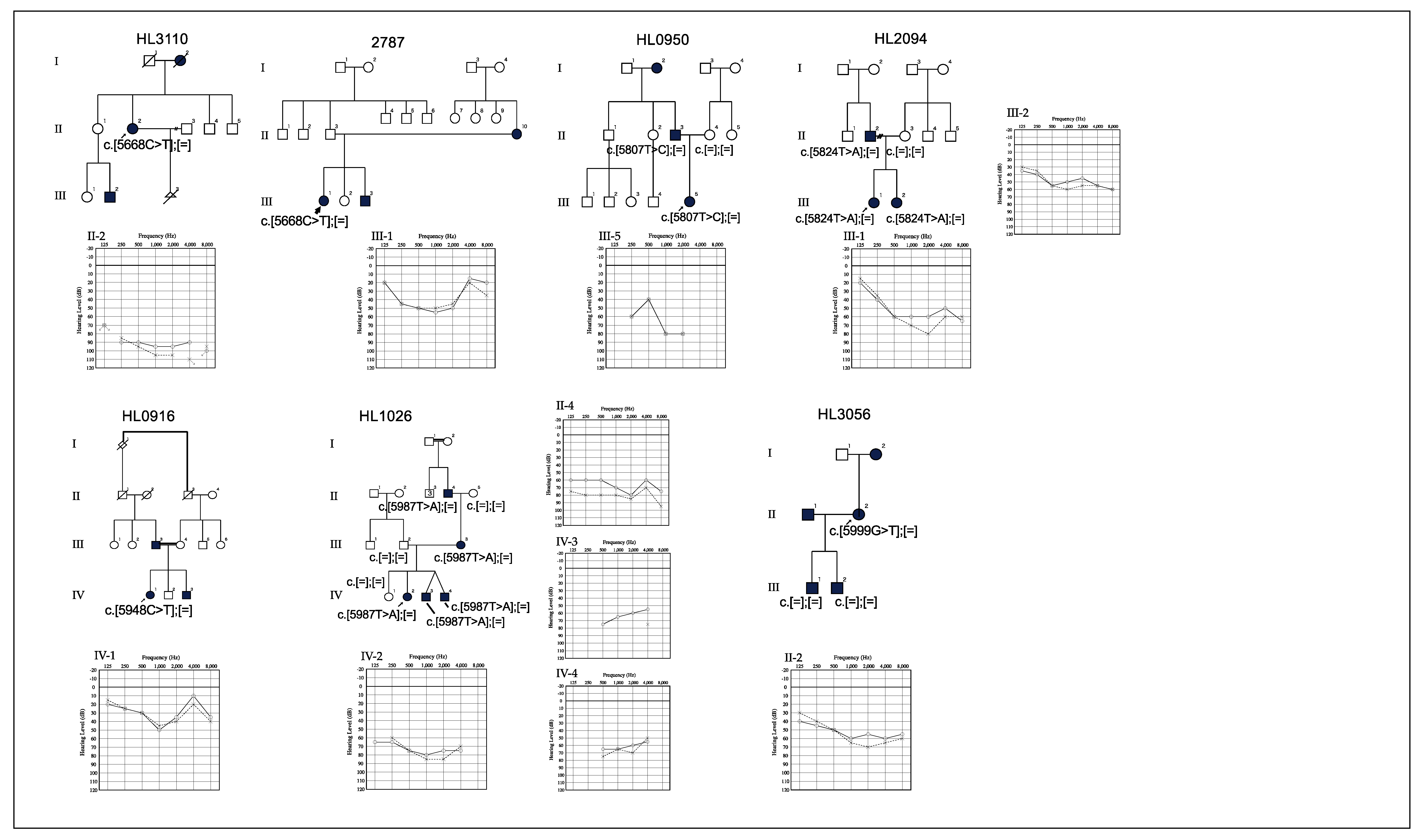 Genes 10 00744 g001c