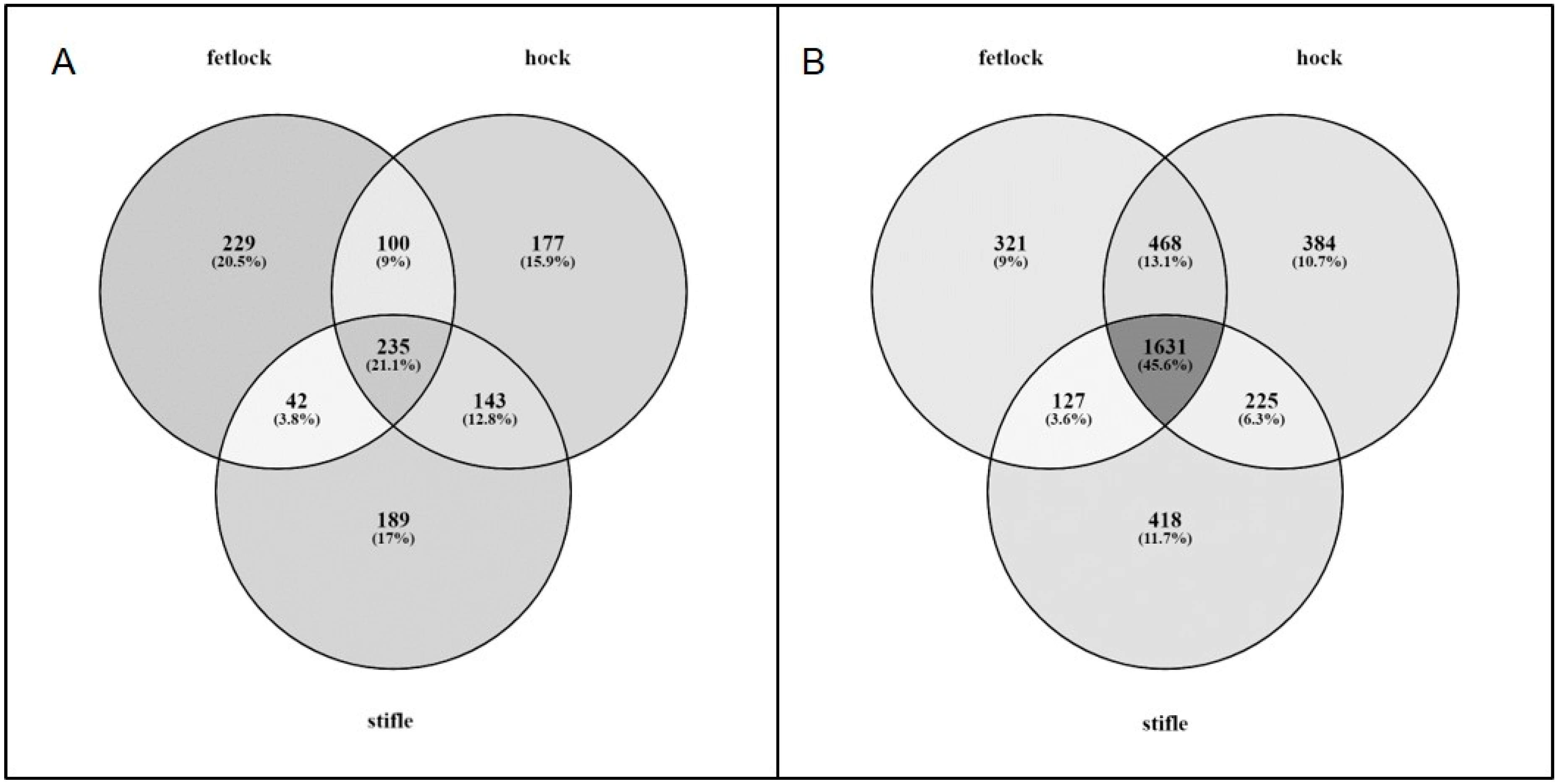 Genes 10 00745 g002 Genes 10 00745 g002