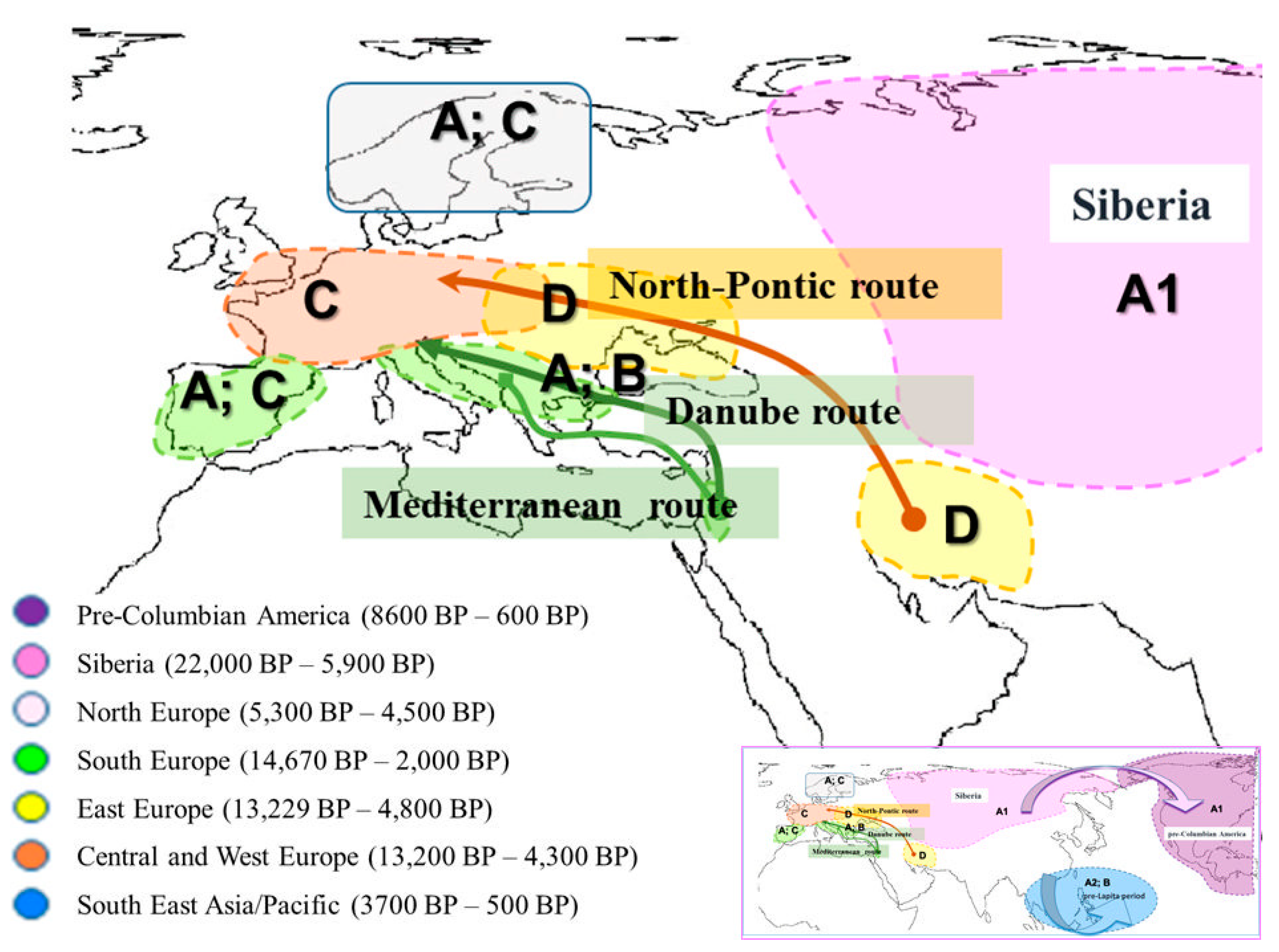 Genes 10 00757 g001