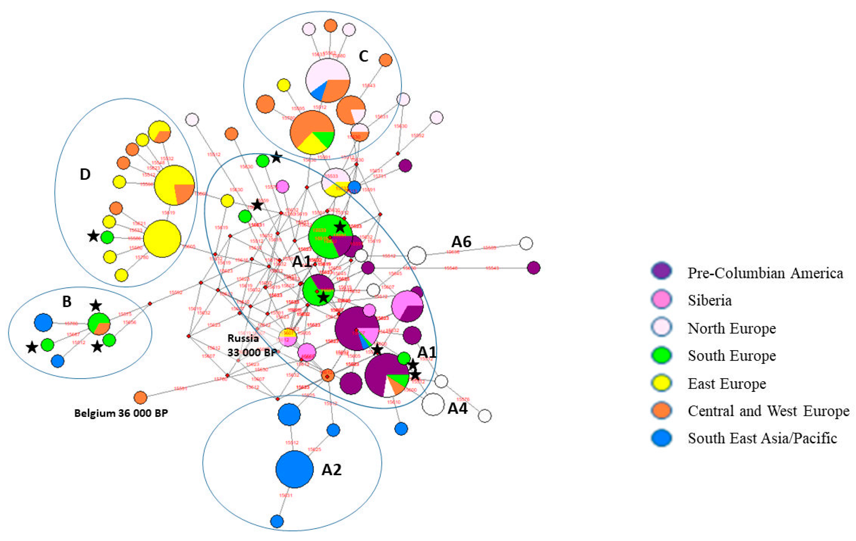 Genes 10 00757 g002
