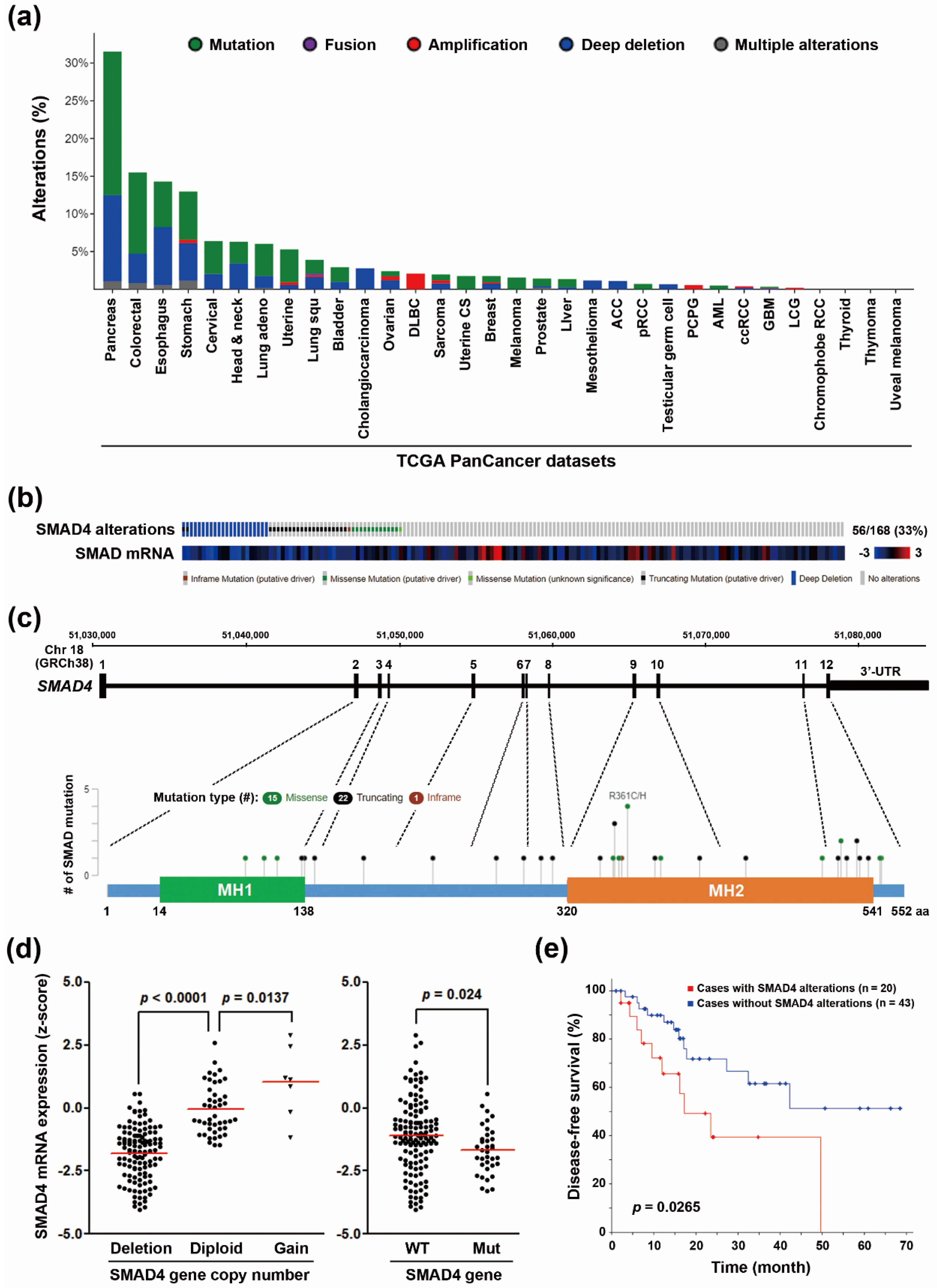 Genes 10 00766 g001