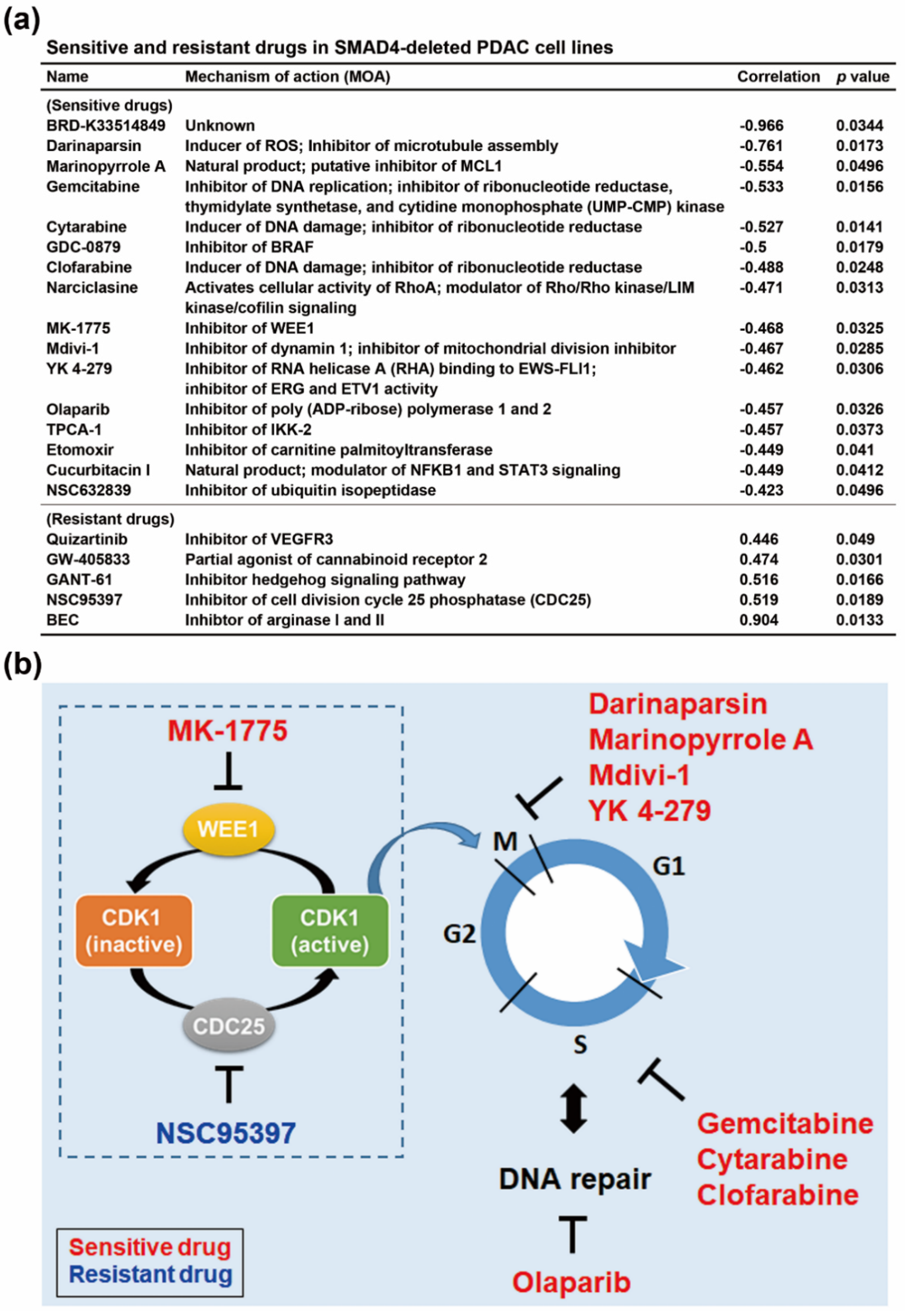 Genes 10 00766 g003