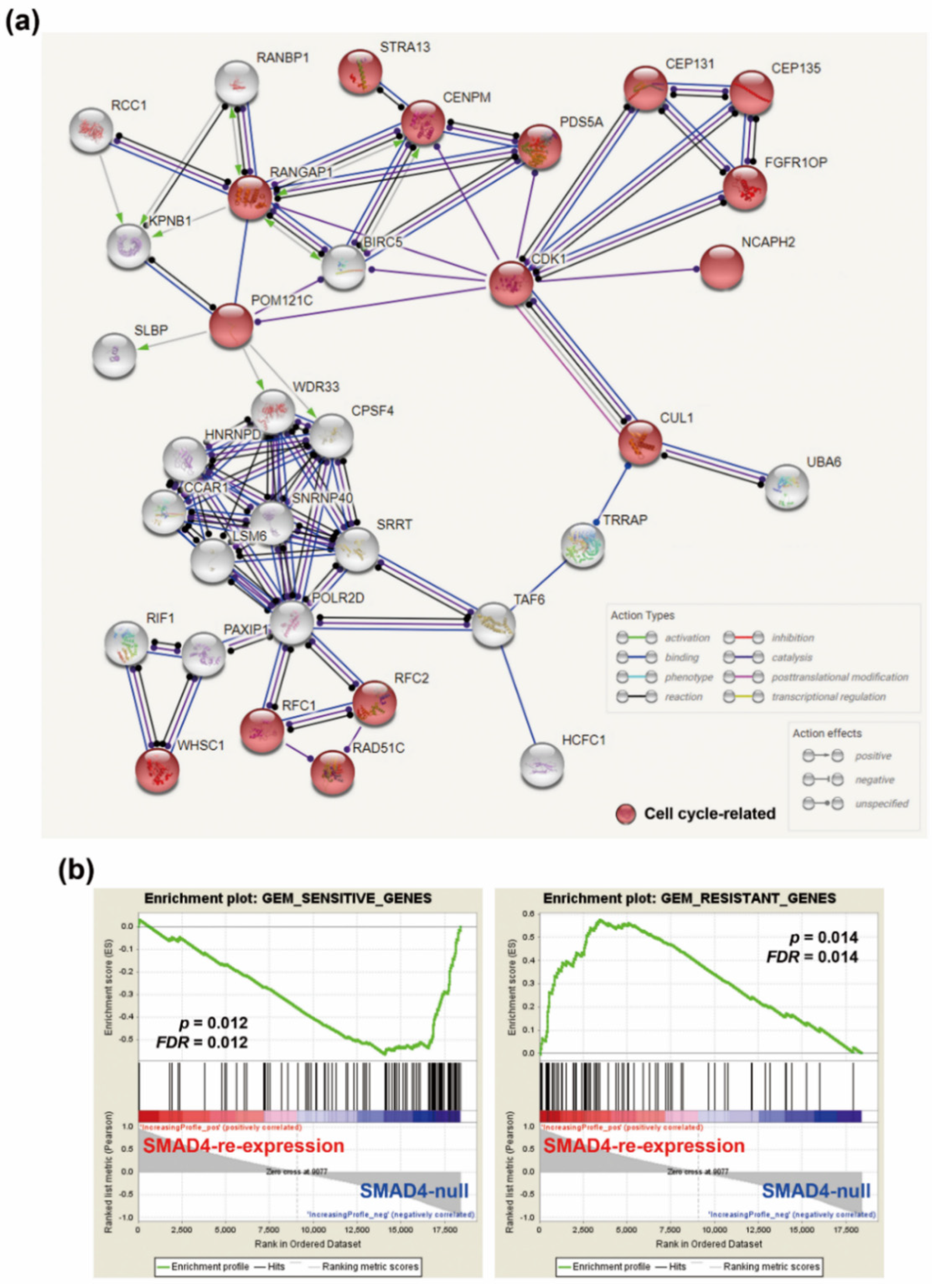 Genes 10 00766 g005