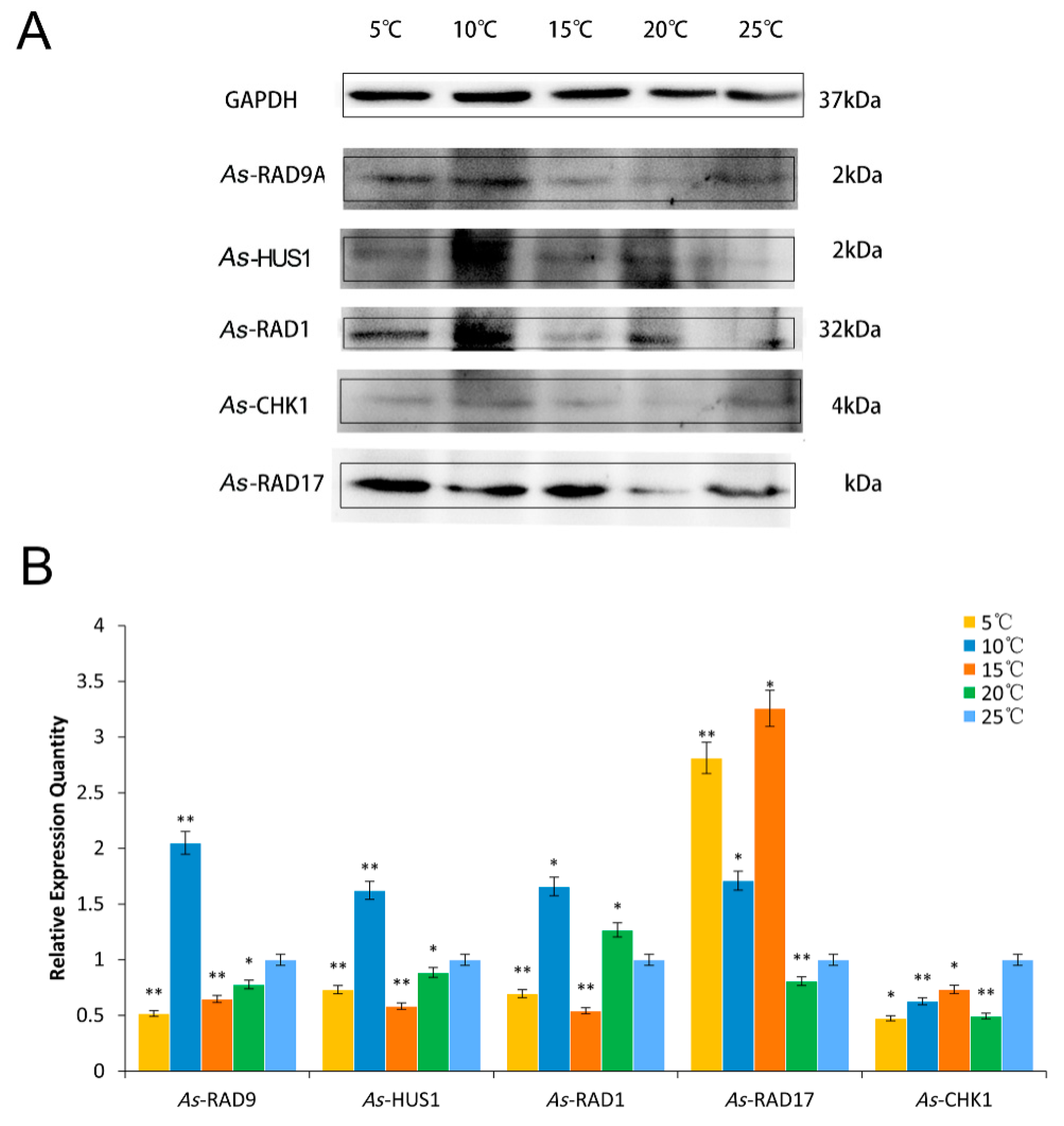 Genes 10 00768 g006