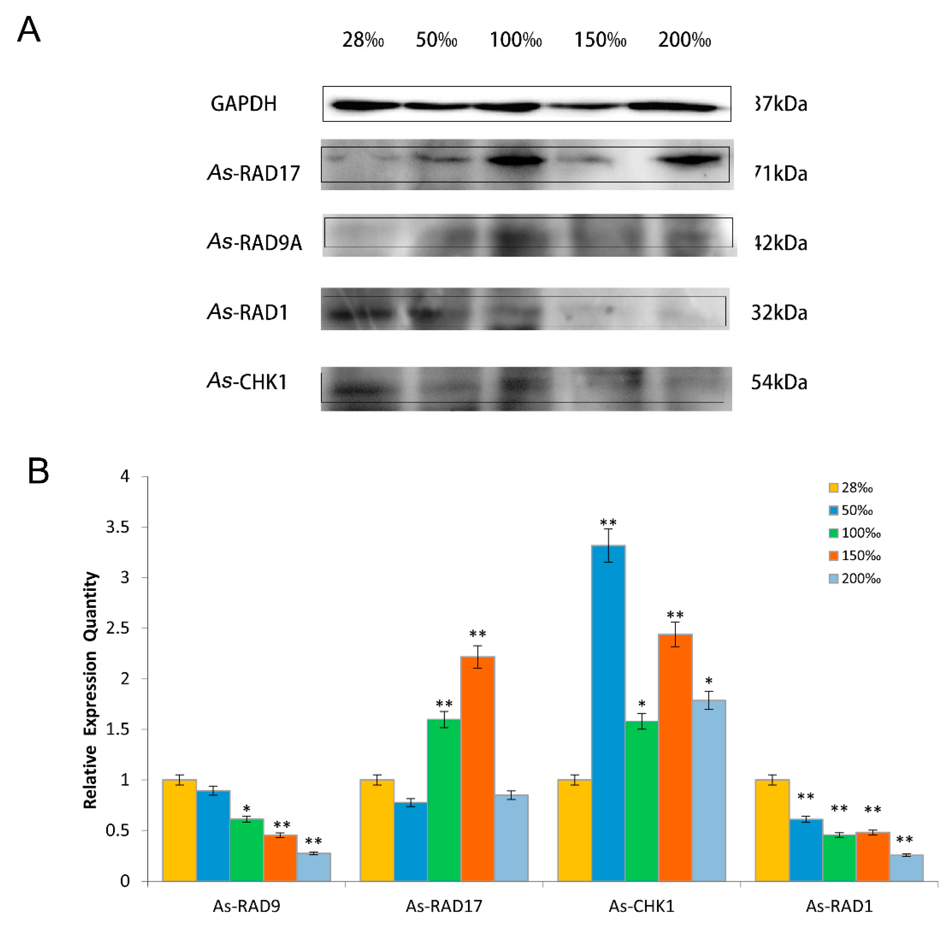 Genes 10 00768 g007