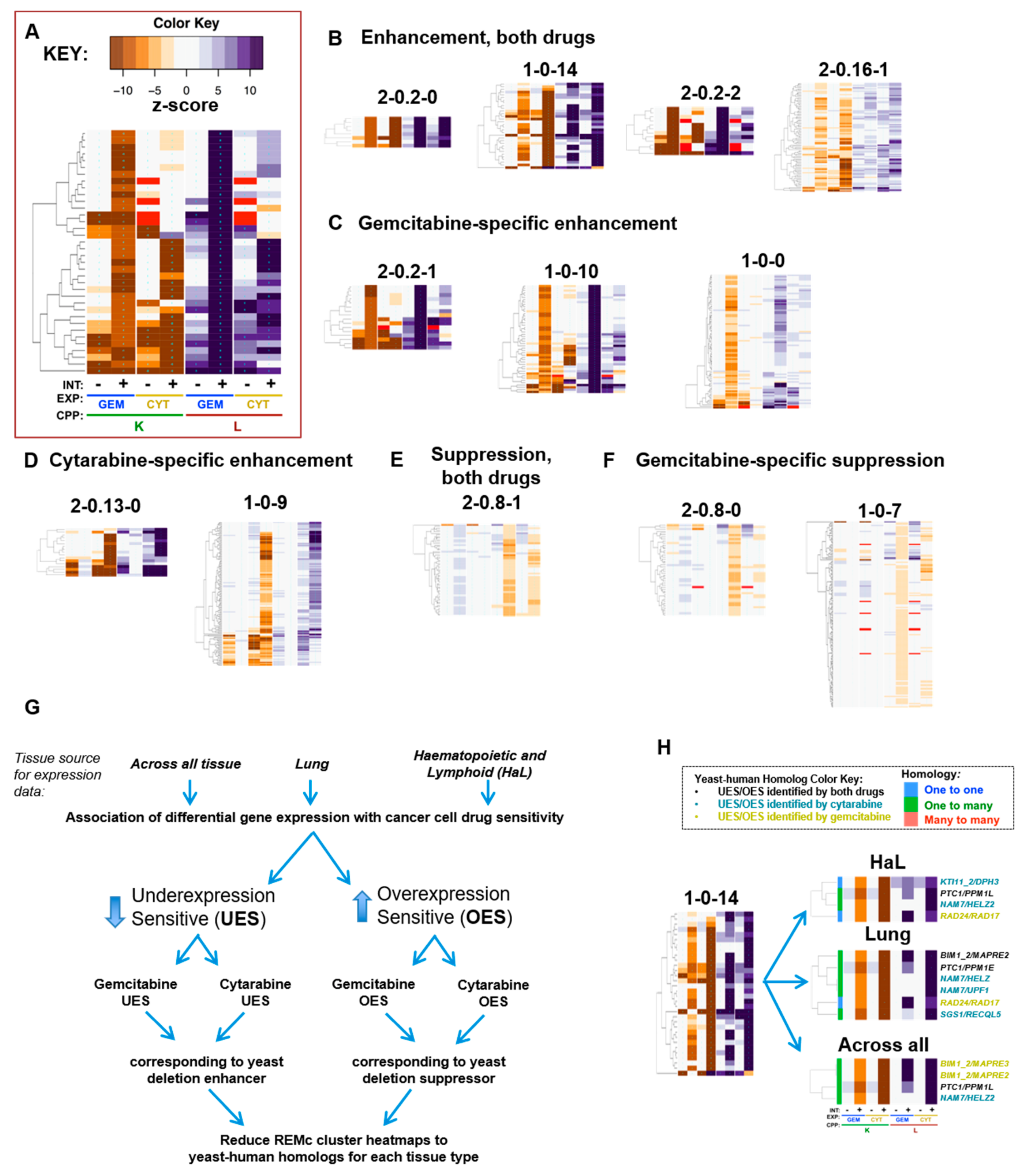 Genes 10 00770 g003
