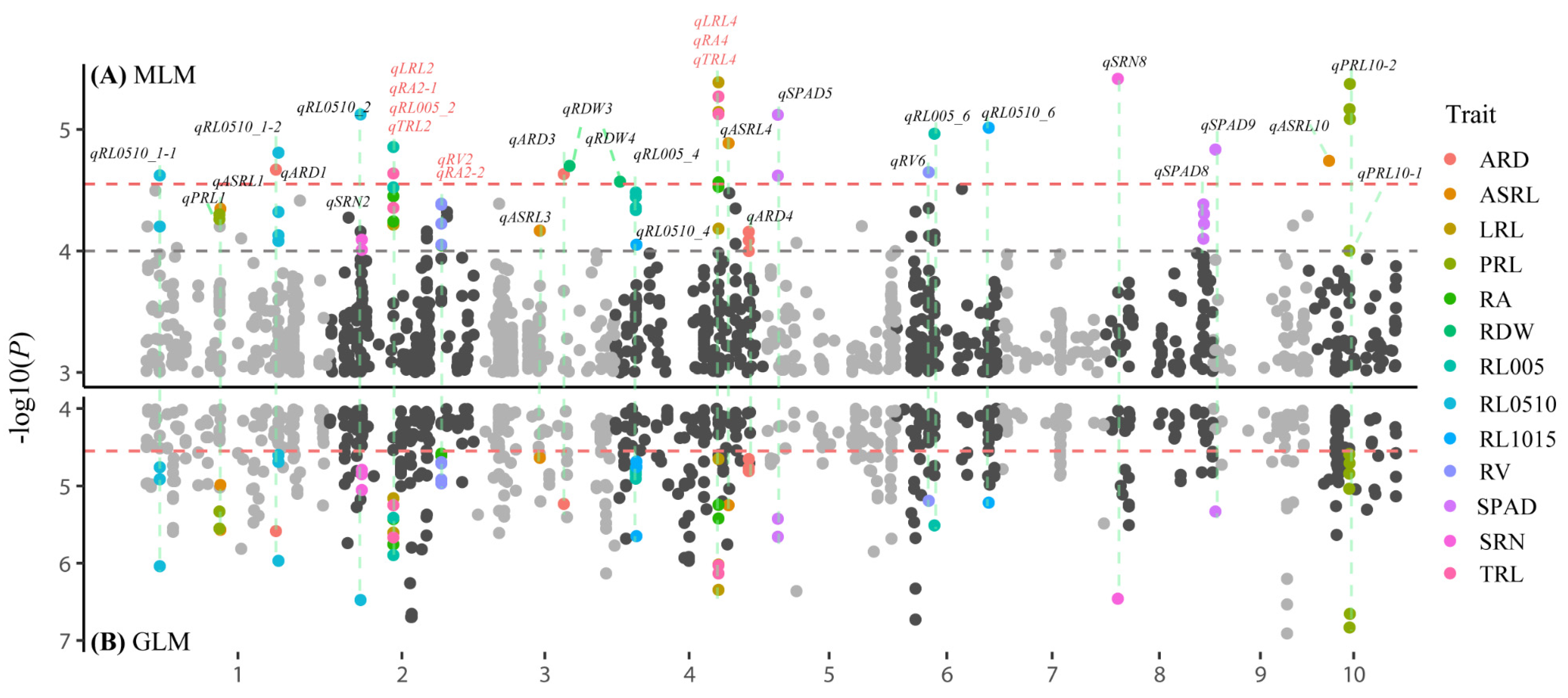 Genes 10 00773 g002