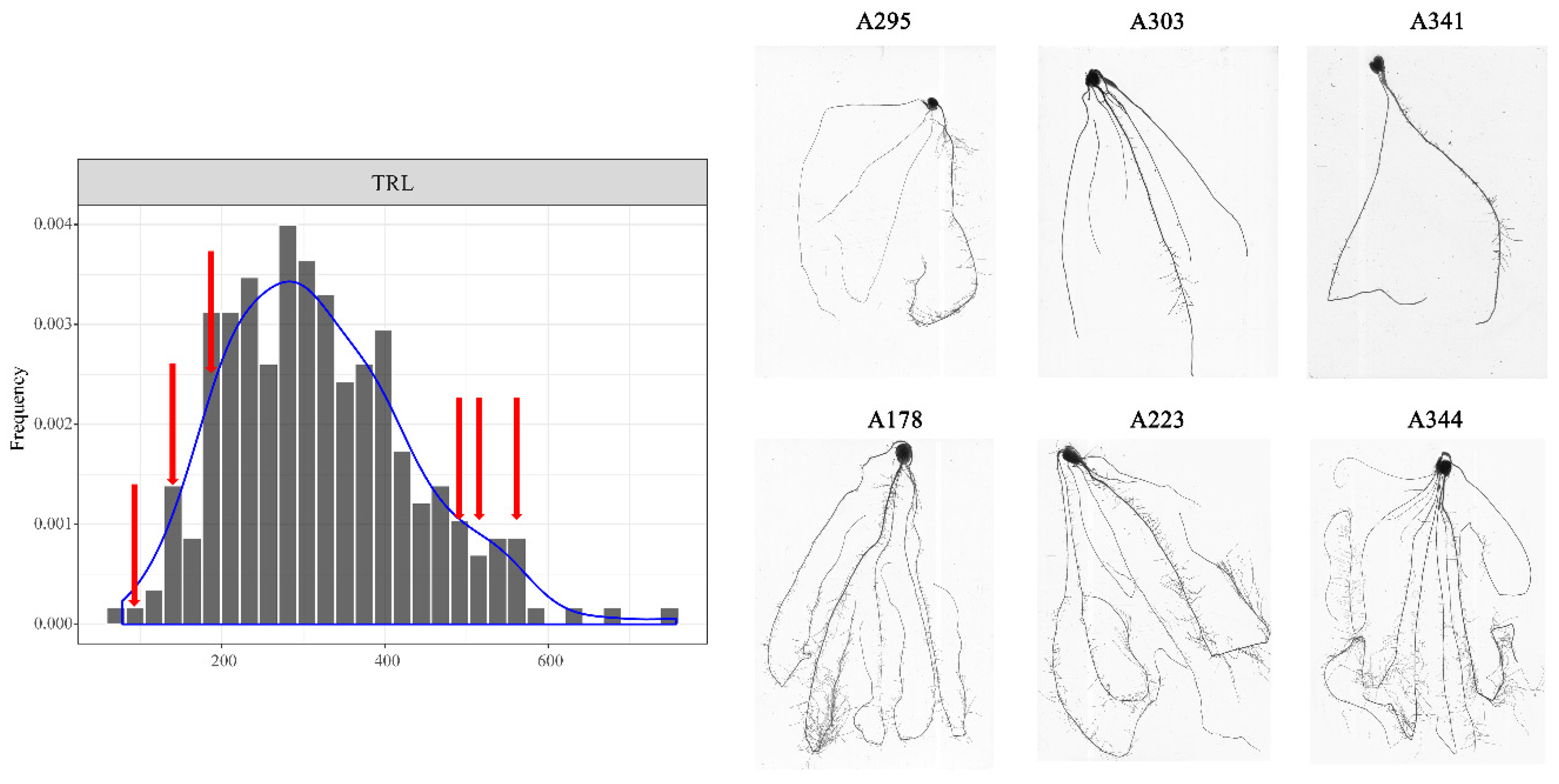 Genes 10 00773 g003