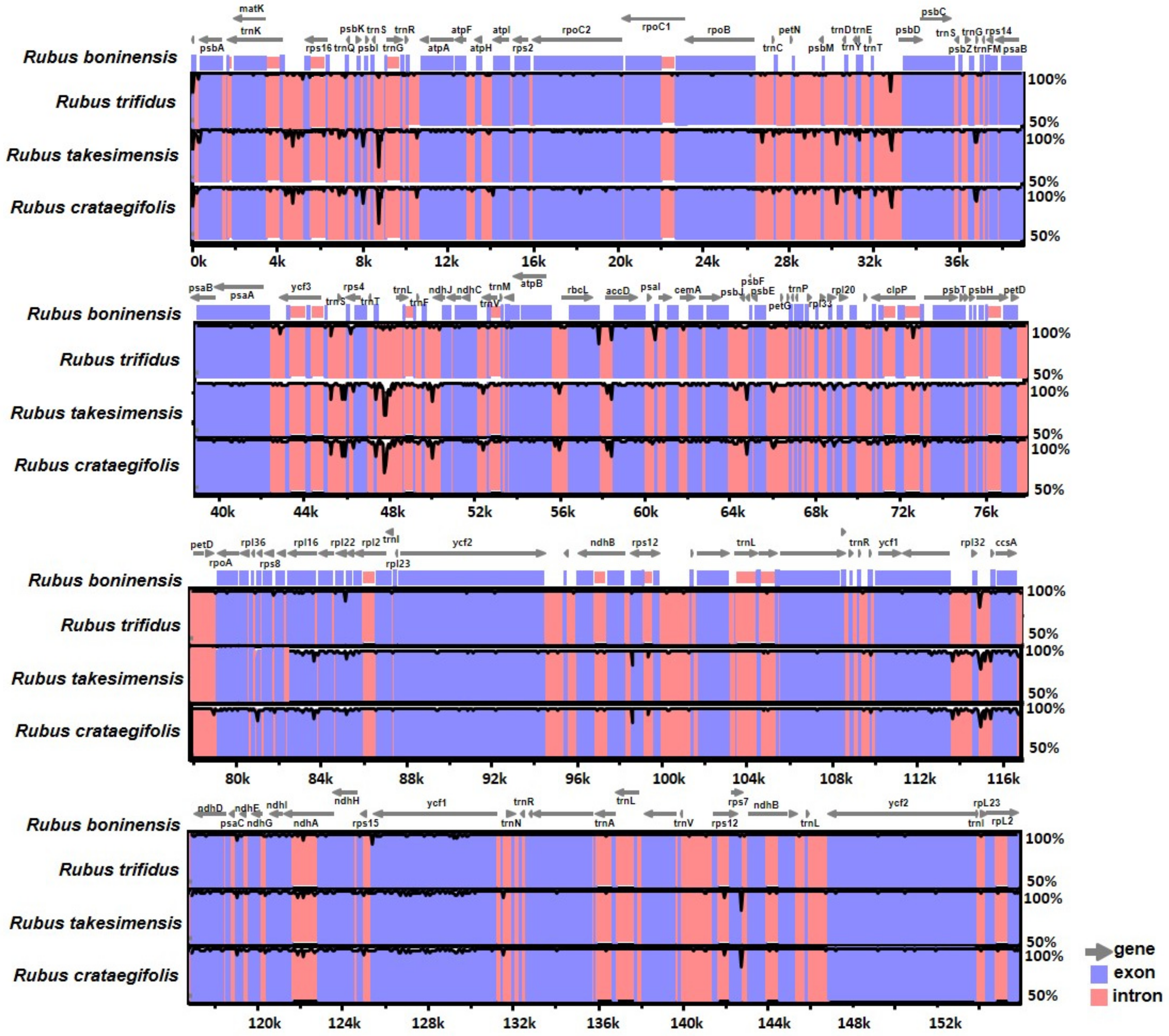 Genes 10 00774 g003