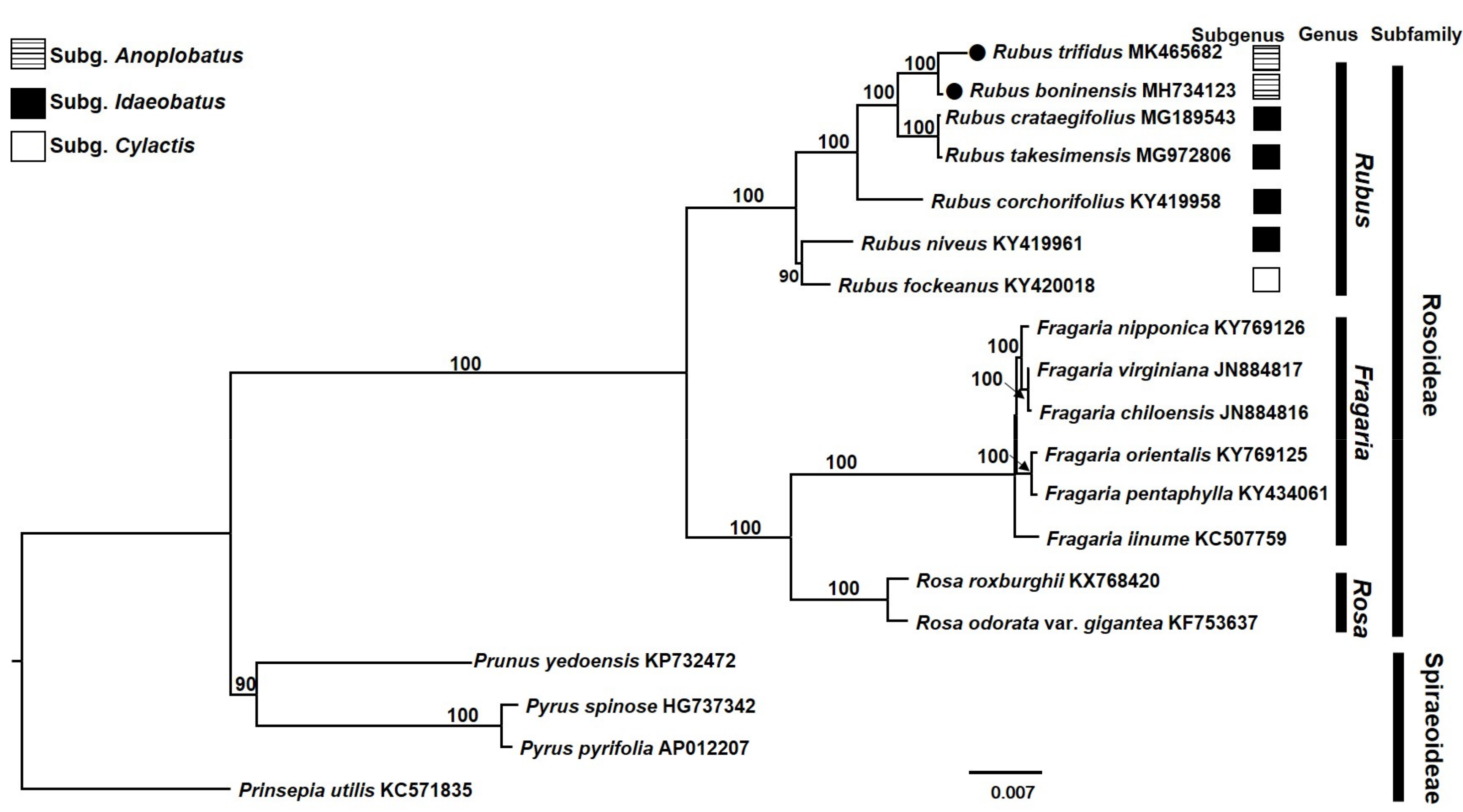 Genes 10 00774 g006