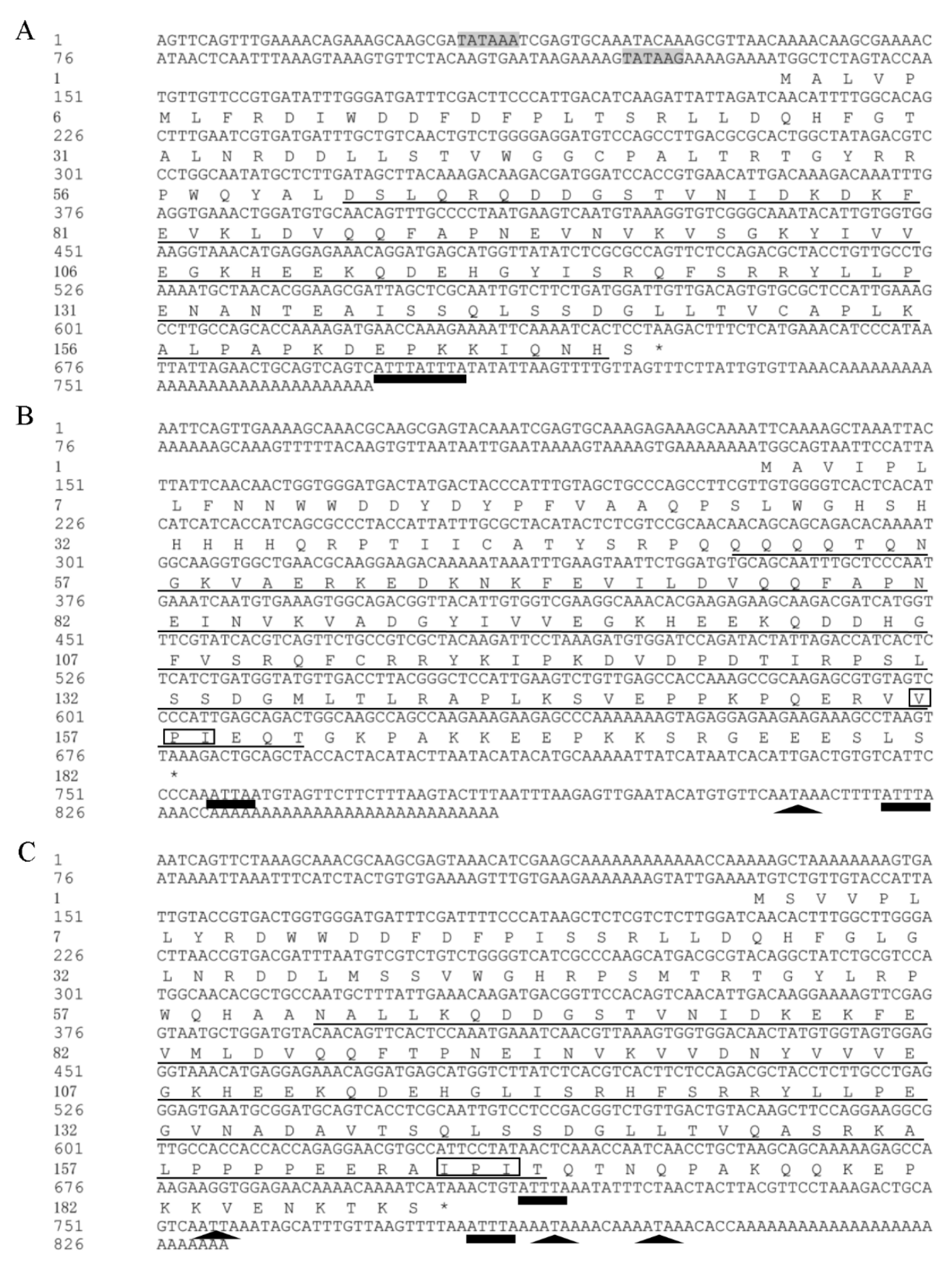 Genes 10 00775 g001