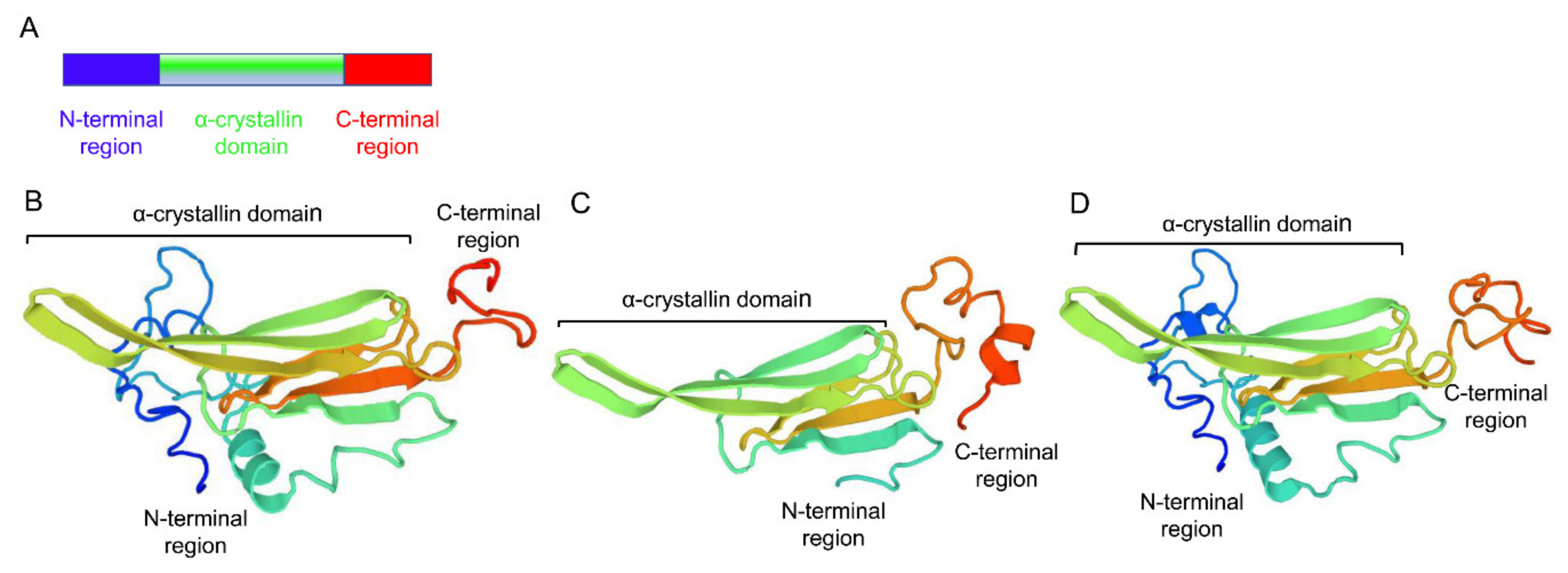 Genes 10 00775 g002