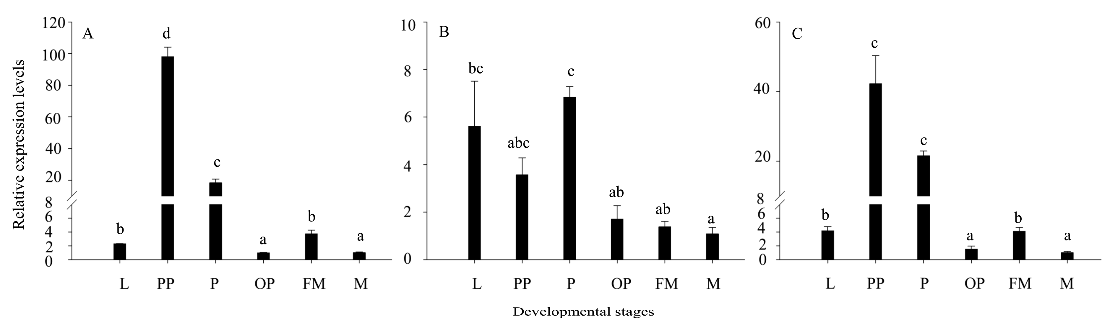 Genes 10 00775 g006
