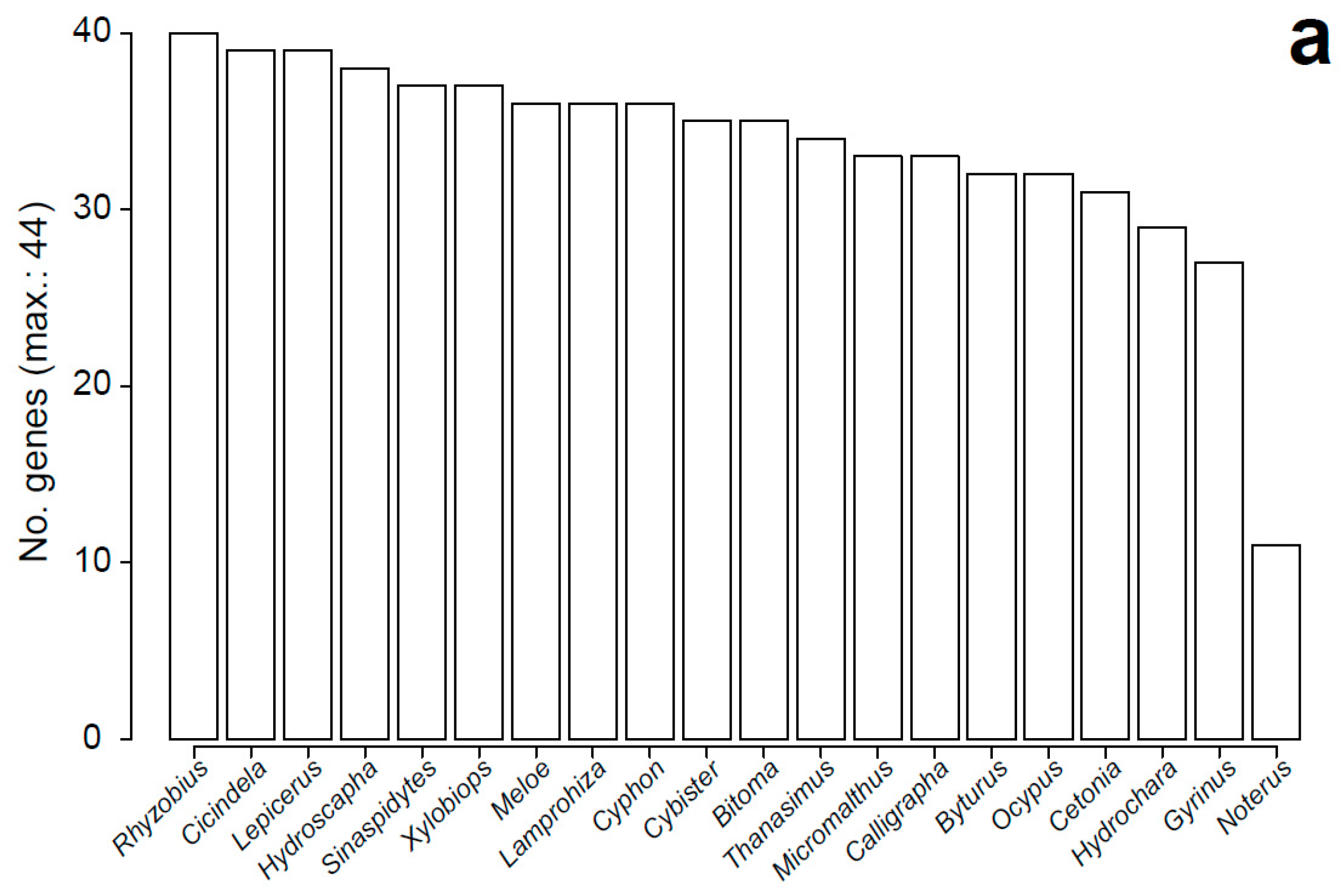 Genes 10 00776 g002a