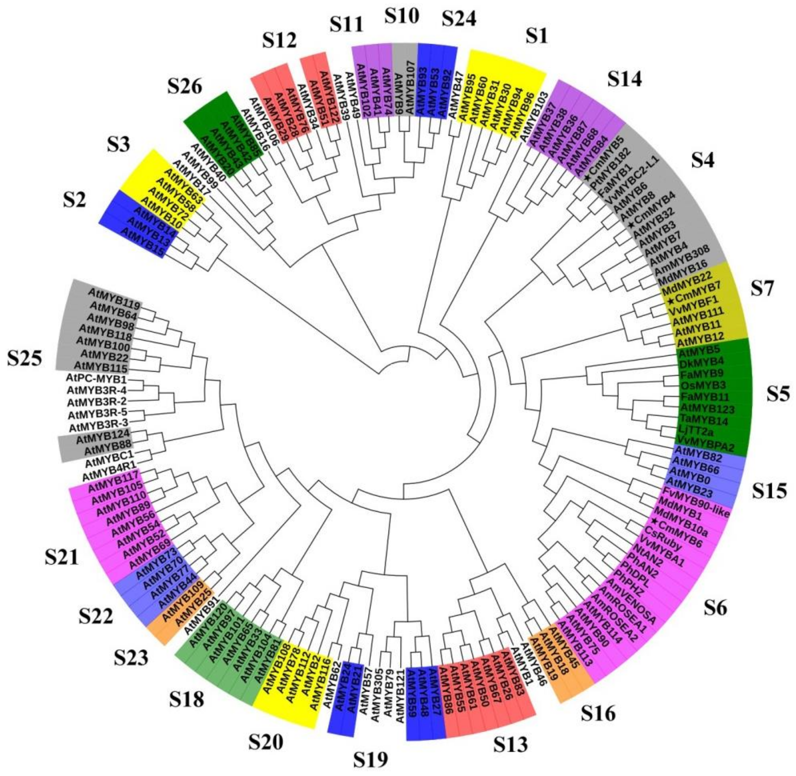 Genes 10 00777 g001