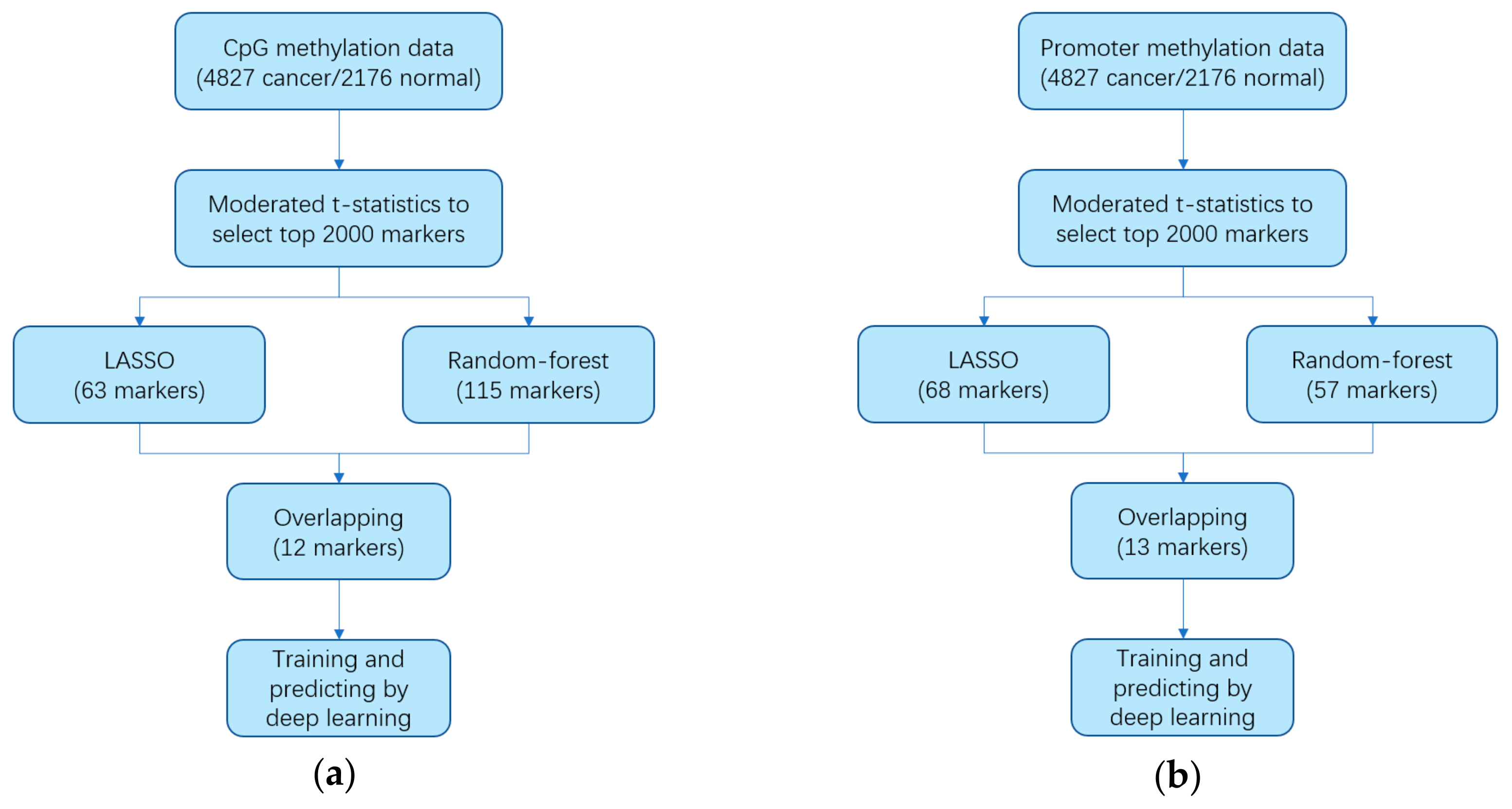 Genes 10 00778 g001 Genes 10 00778 g001