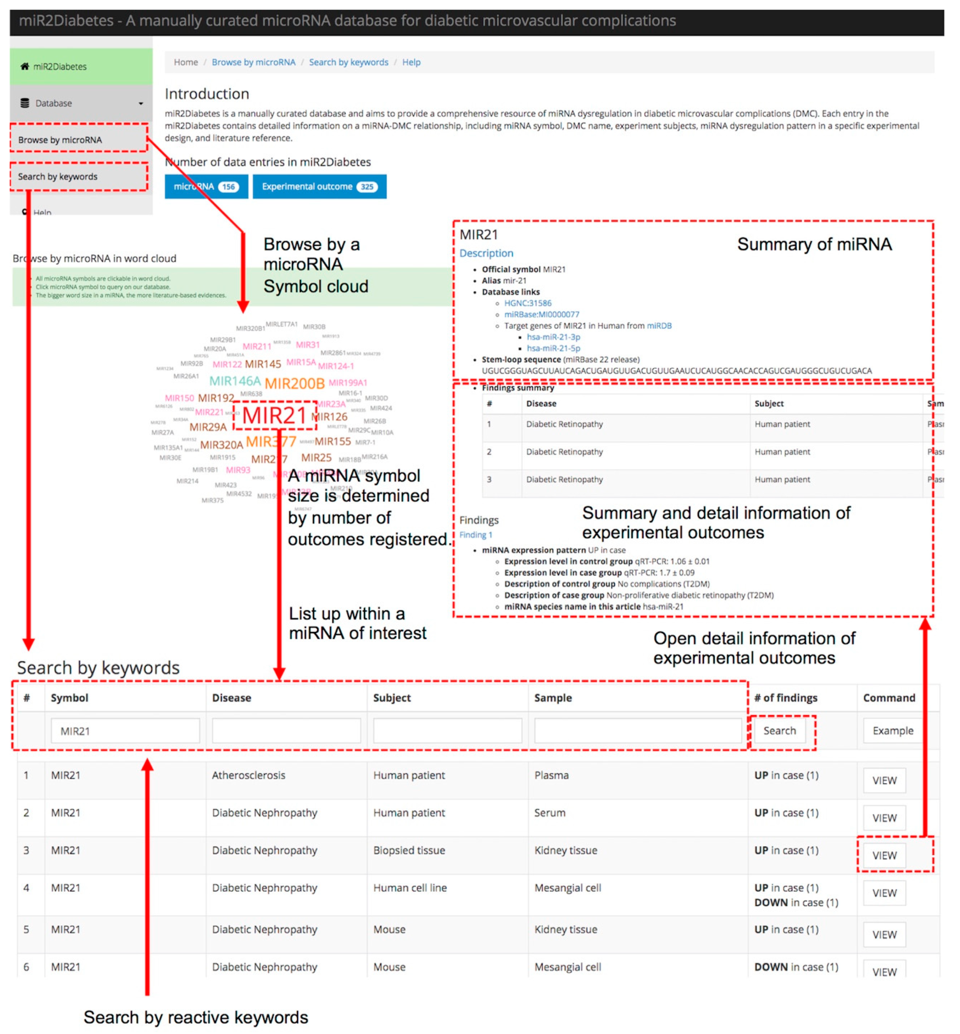 Genes 10 00784 g003