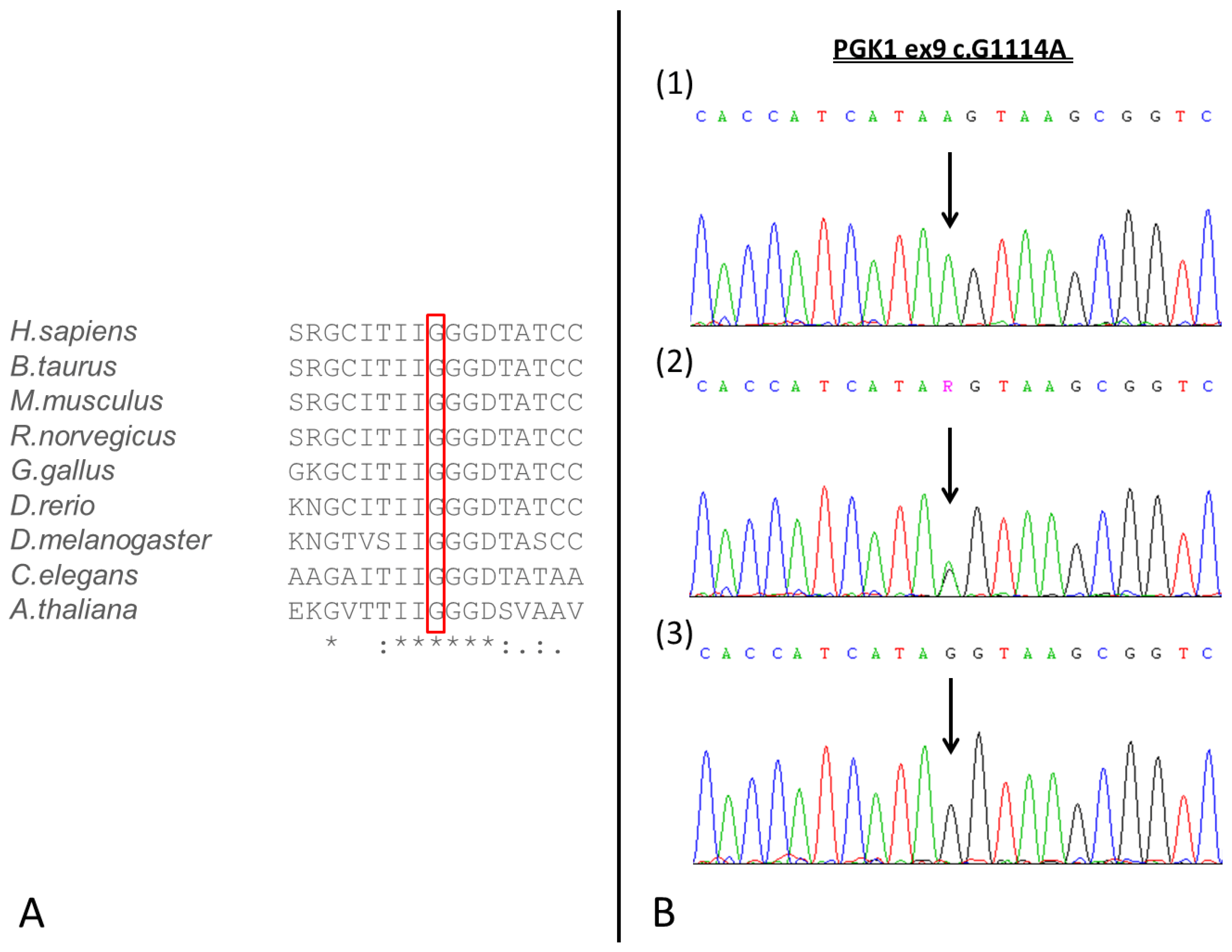 Genes 10 00785 g001