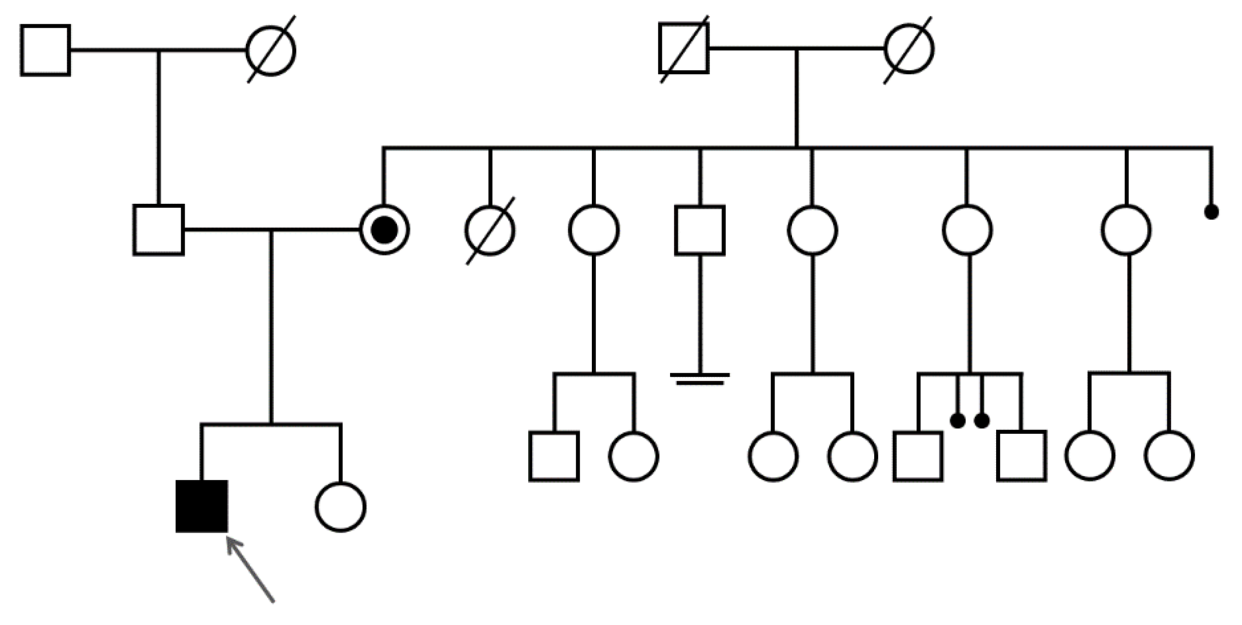 Genes 10 00785 g002