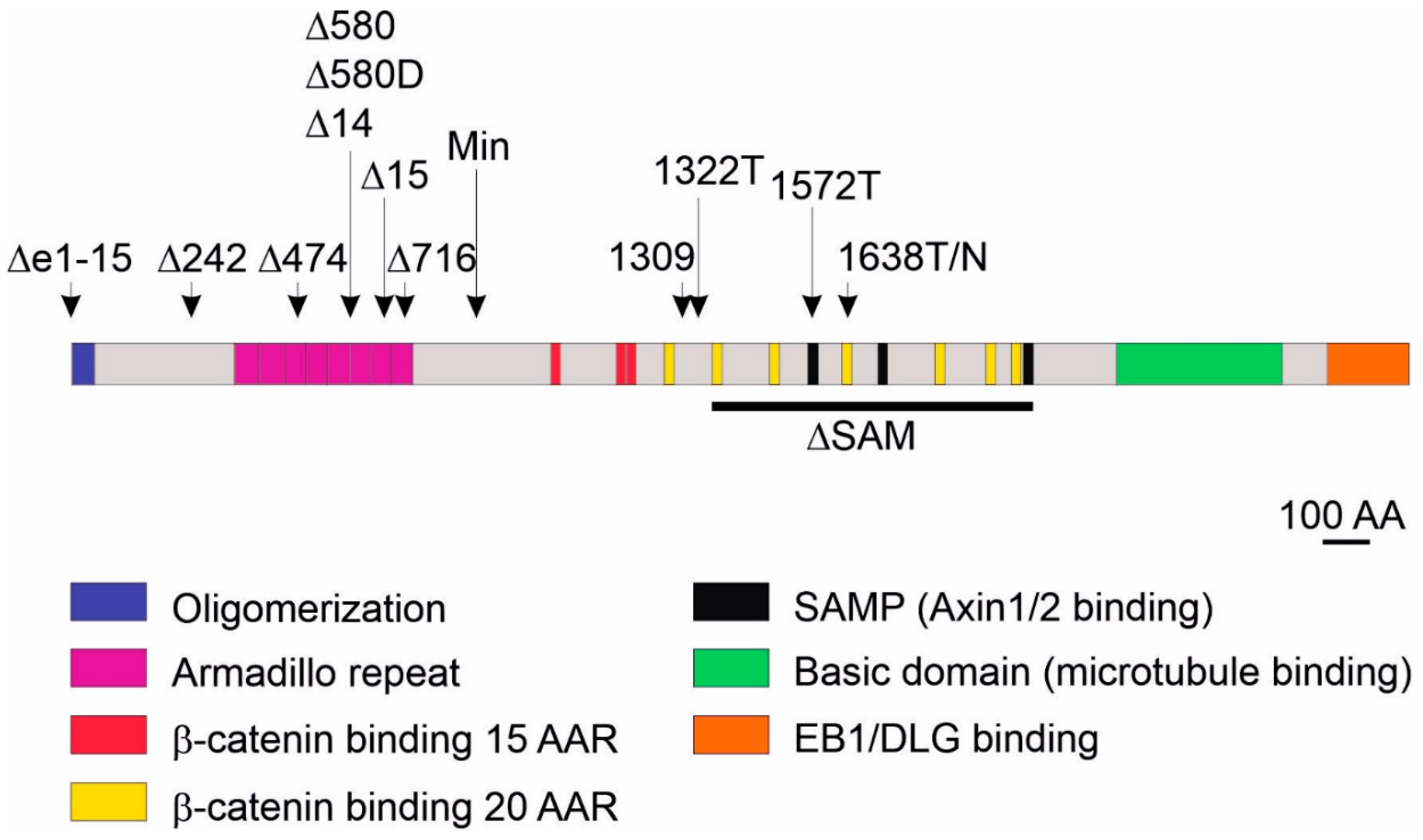 Genes 10 00788 g002