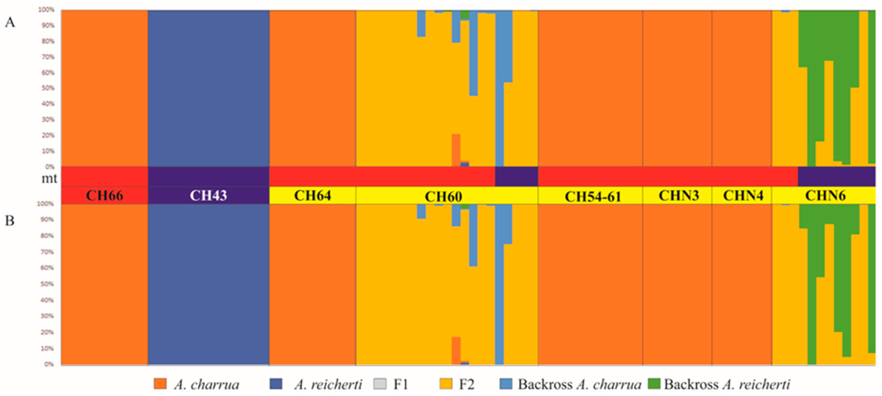 Genes 10 00789 g004