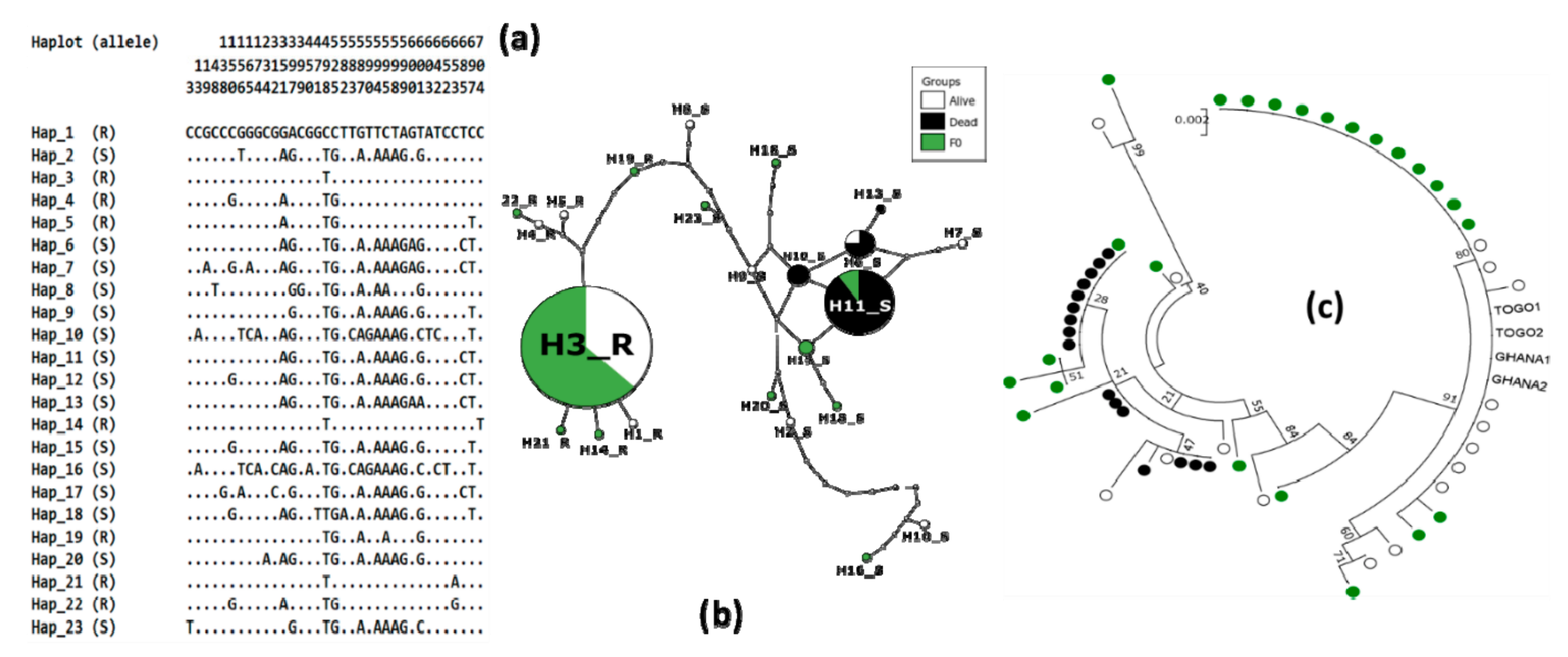 Genes 10 00790 g004