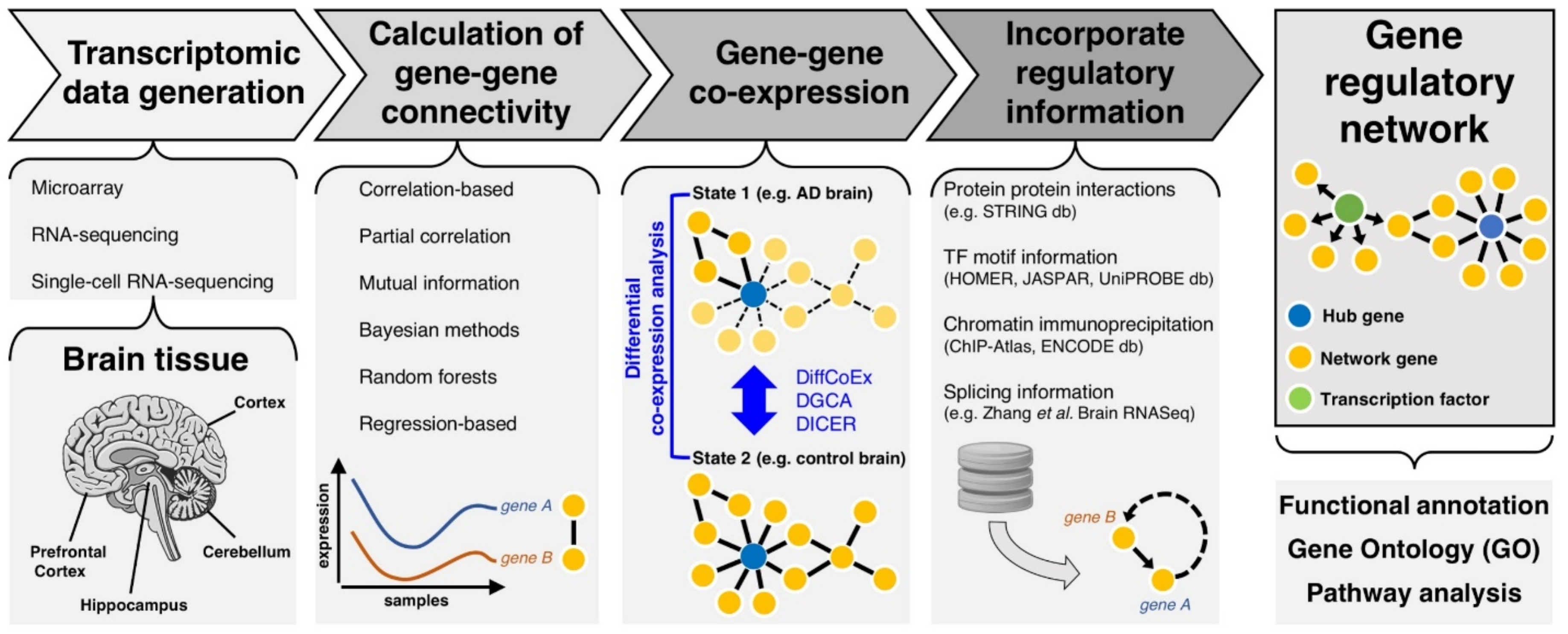 Genes 10 00798 g001 Genes 10 00798 g001