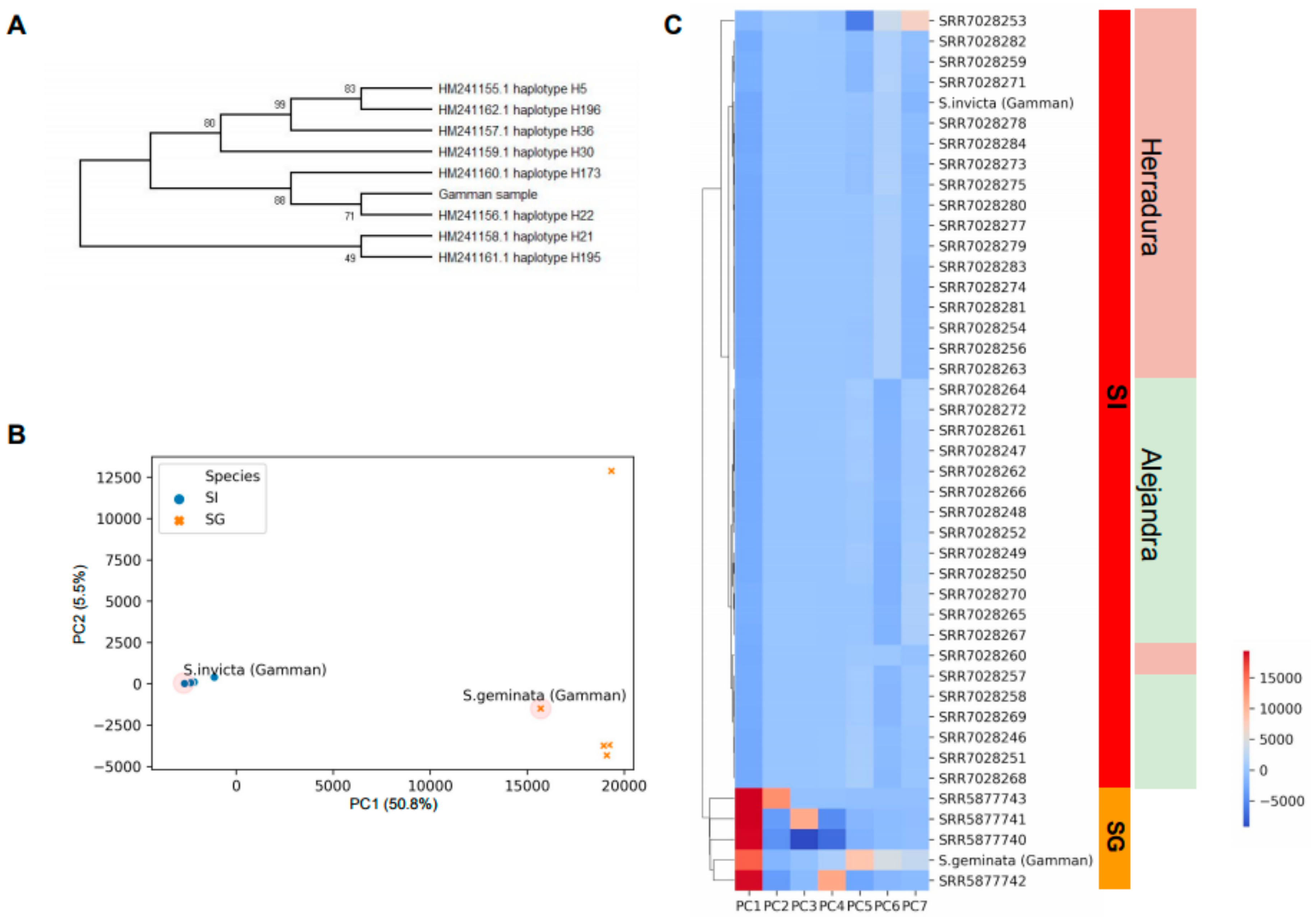 Genes 10 00812 g002
