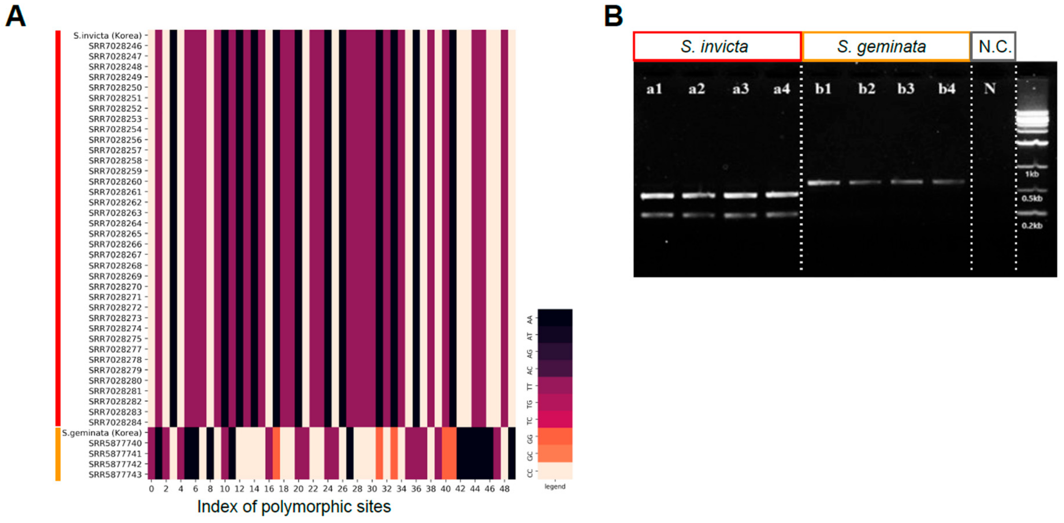 Genes 10 00812 g004