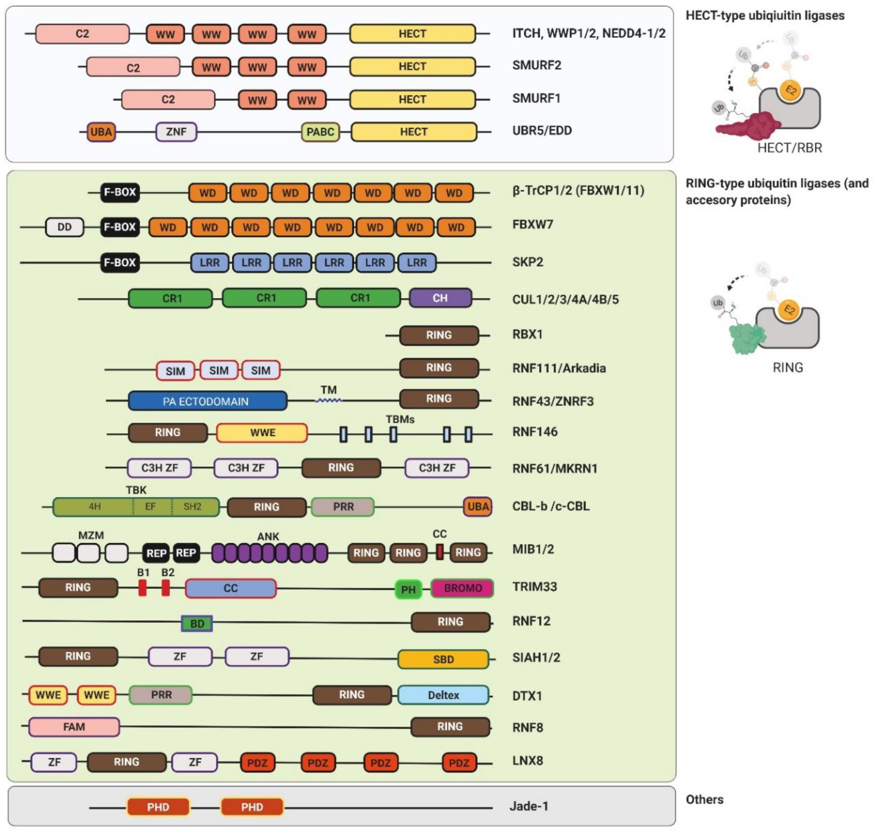 Genes 10 00815 g002 Genes 10 00815 g002
