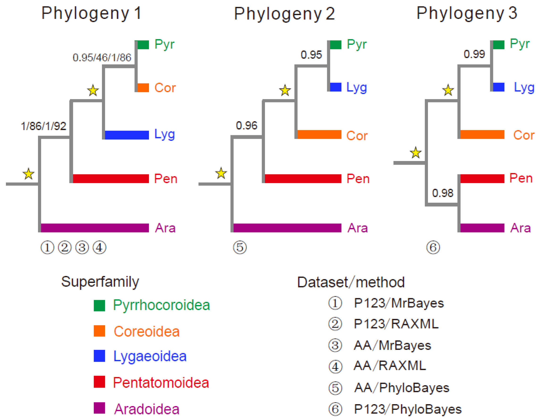 Genes 10 00820 g005