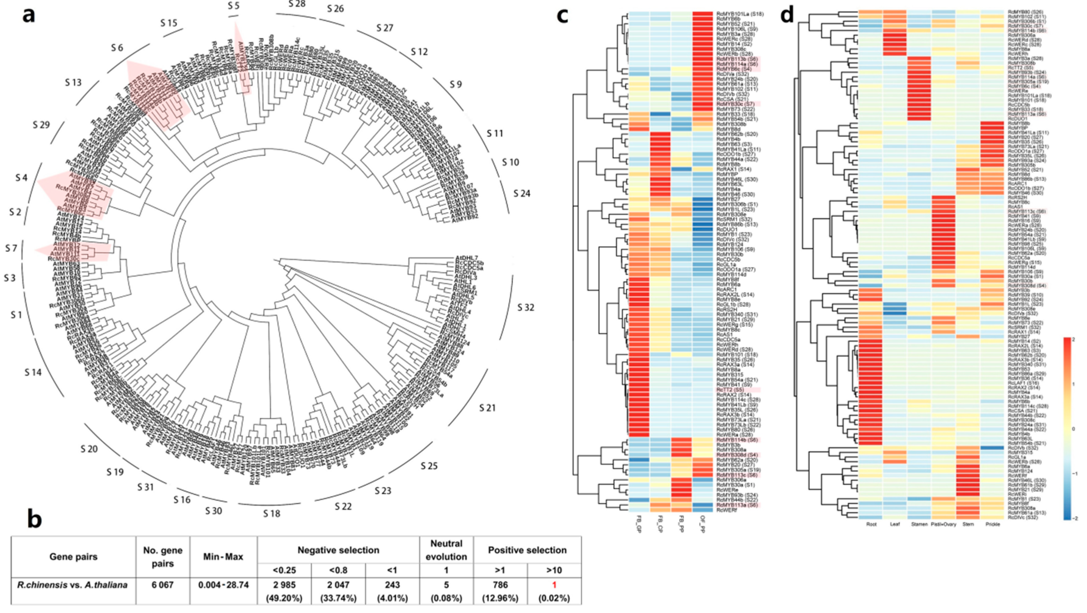 Genes 10 00823 g004