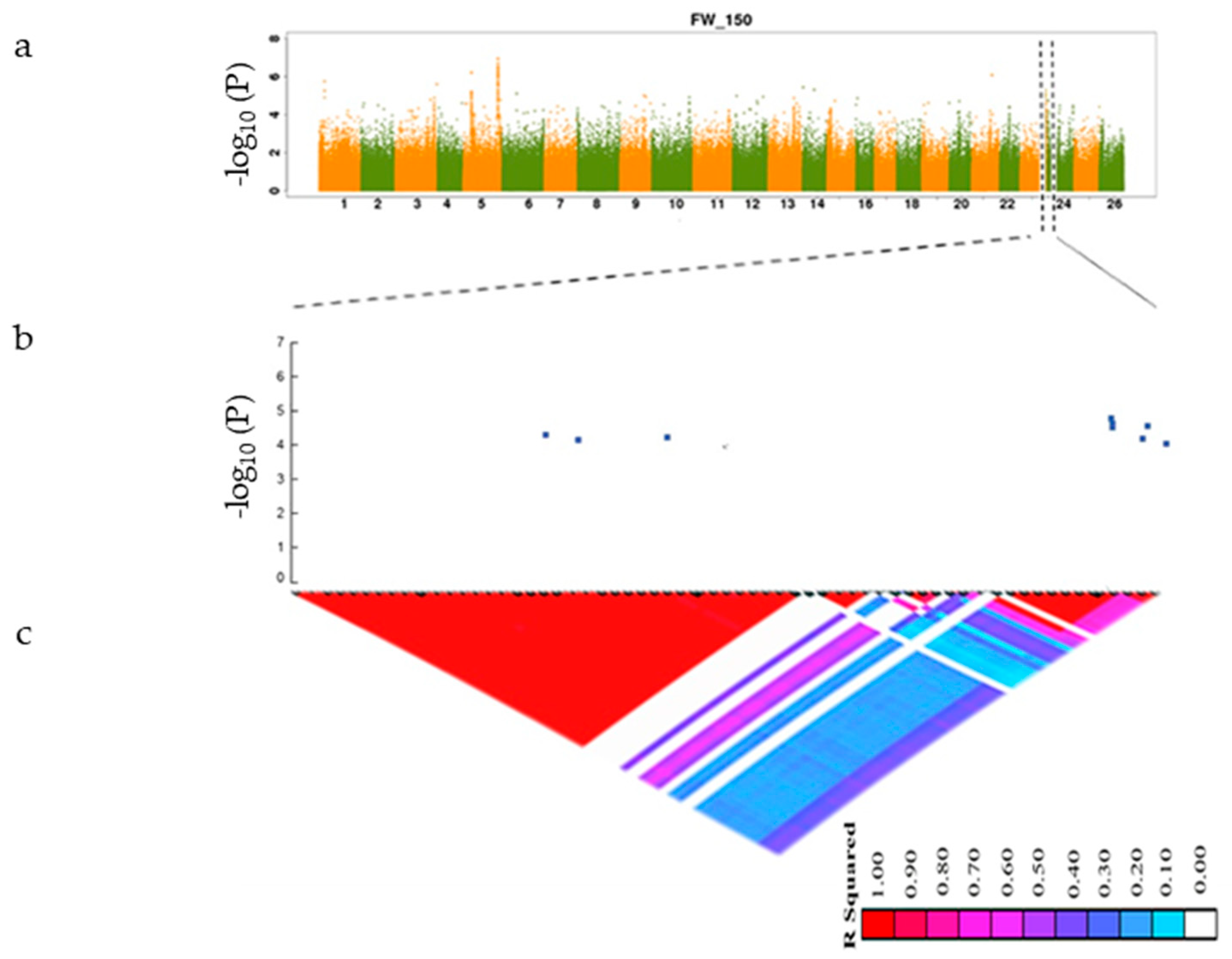 Genes 10 00829 g004