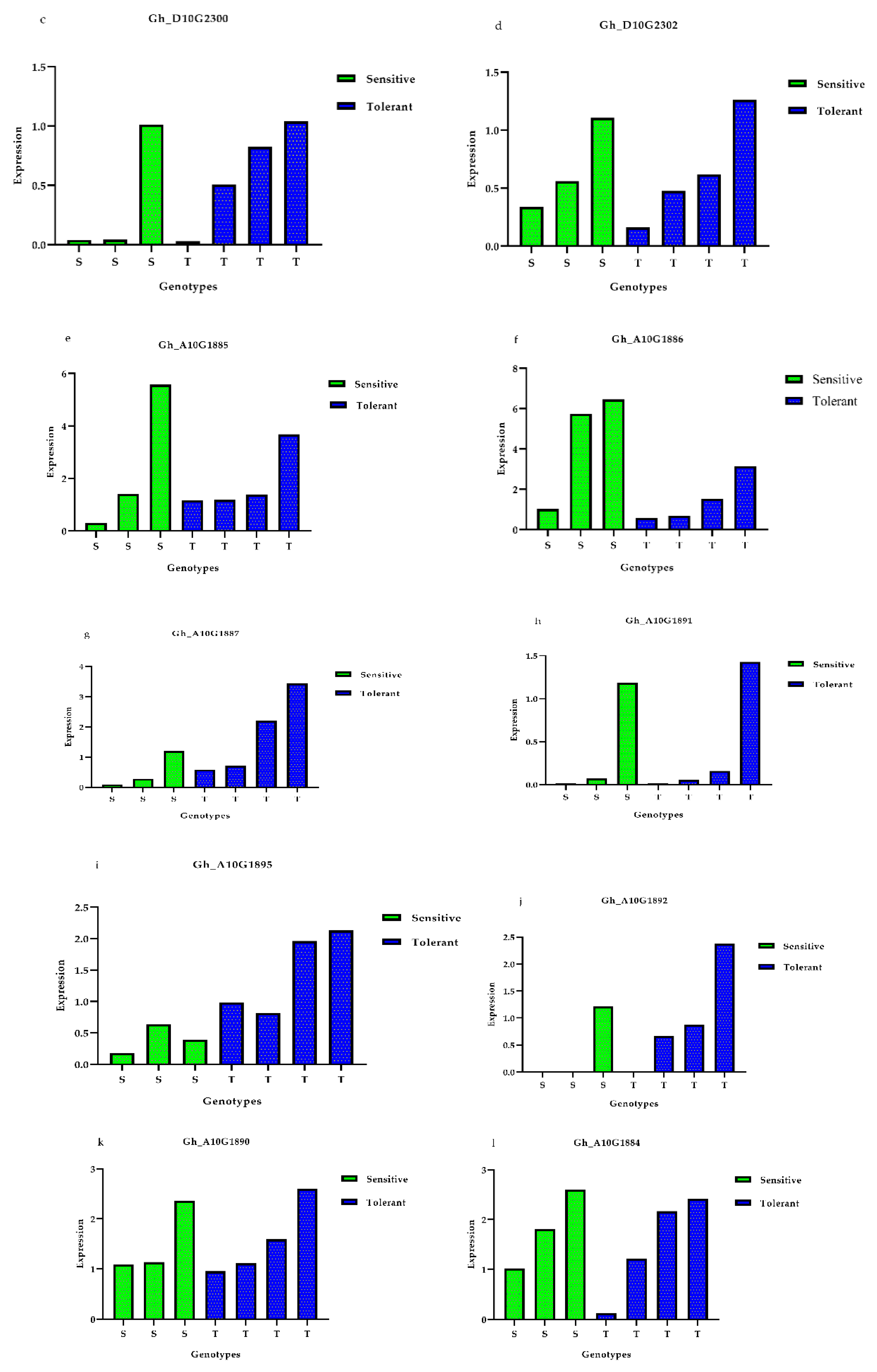 Genes 10 00829 g007b