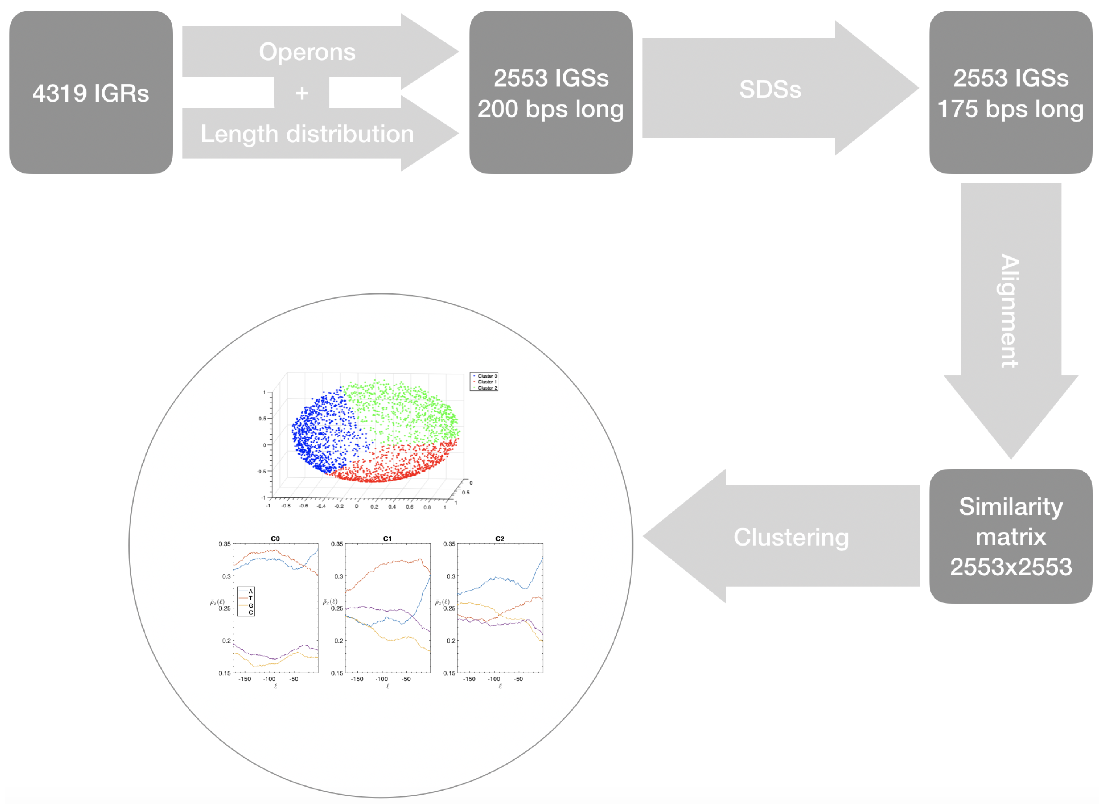 Genes 10 00834 g012