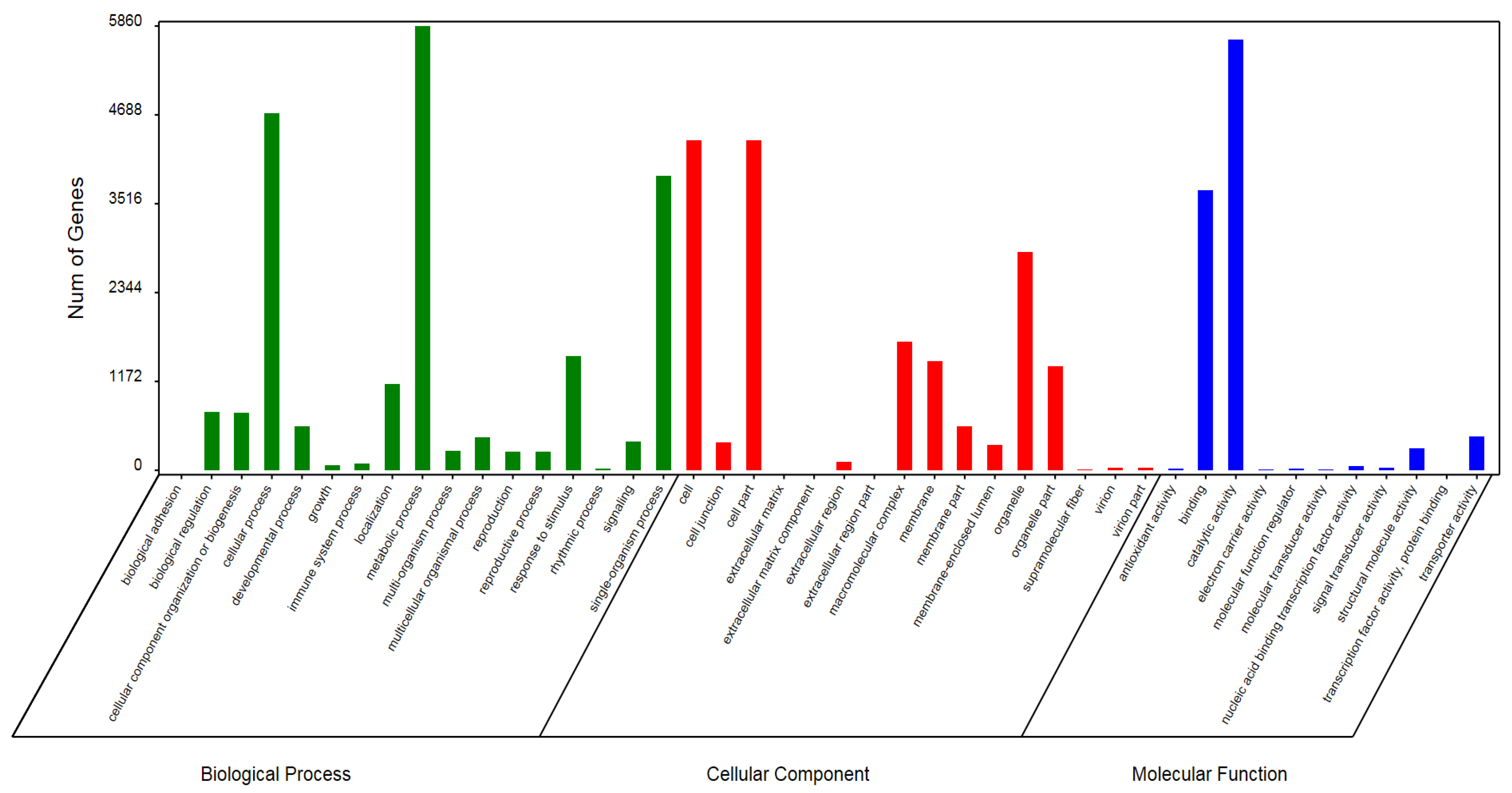 Genes 10 00835 g001
