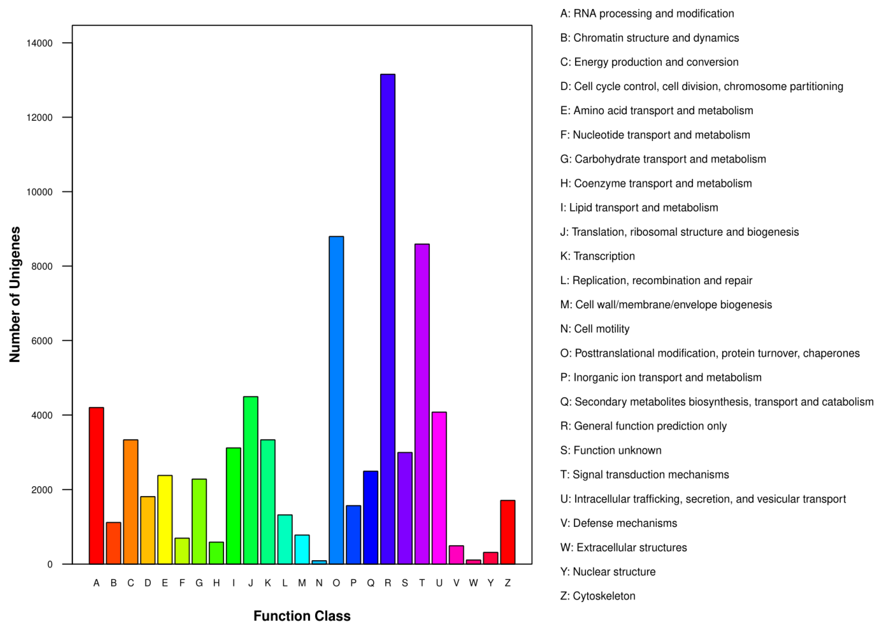 Genes 10 00835 g002