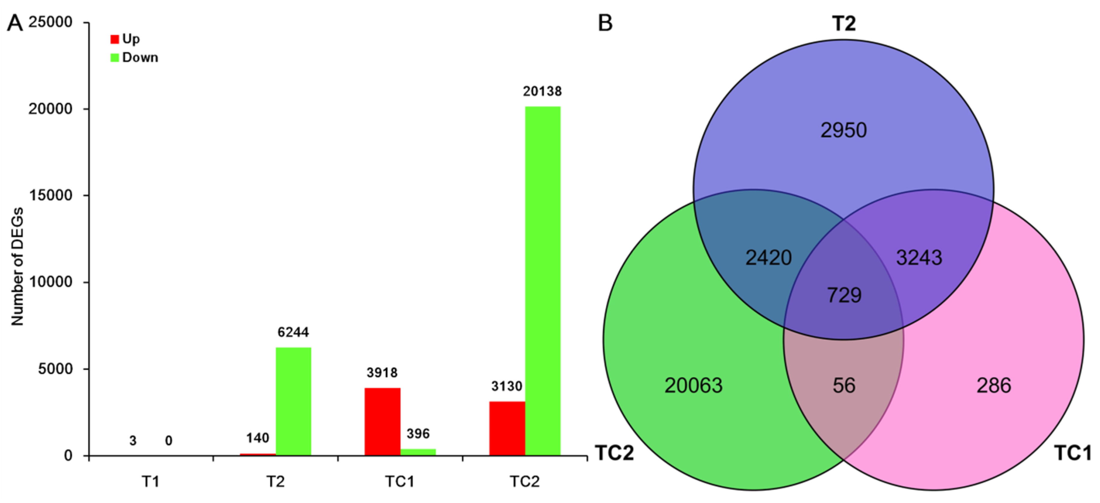 Genes 10 00835 g003