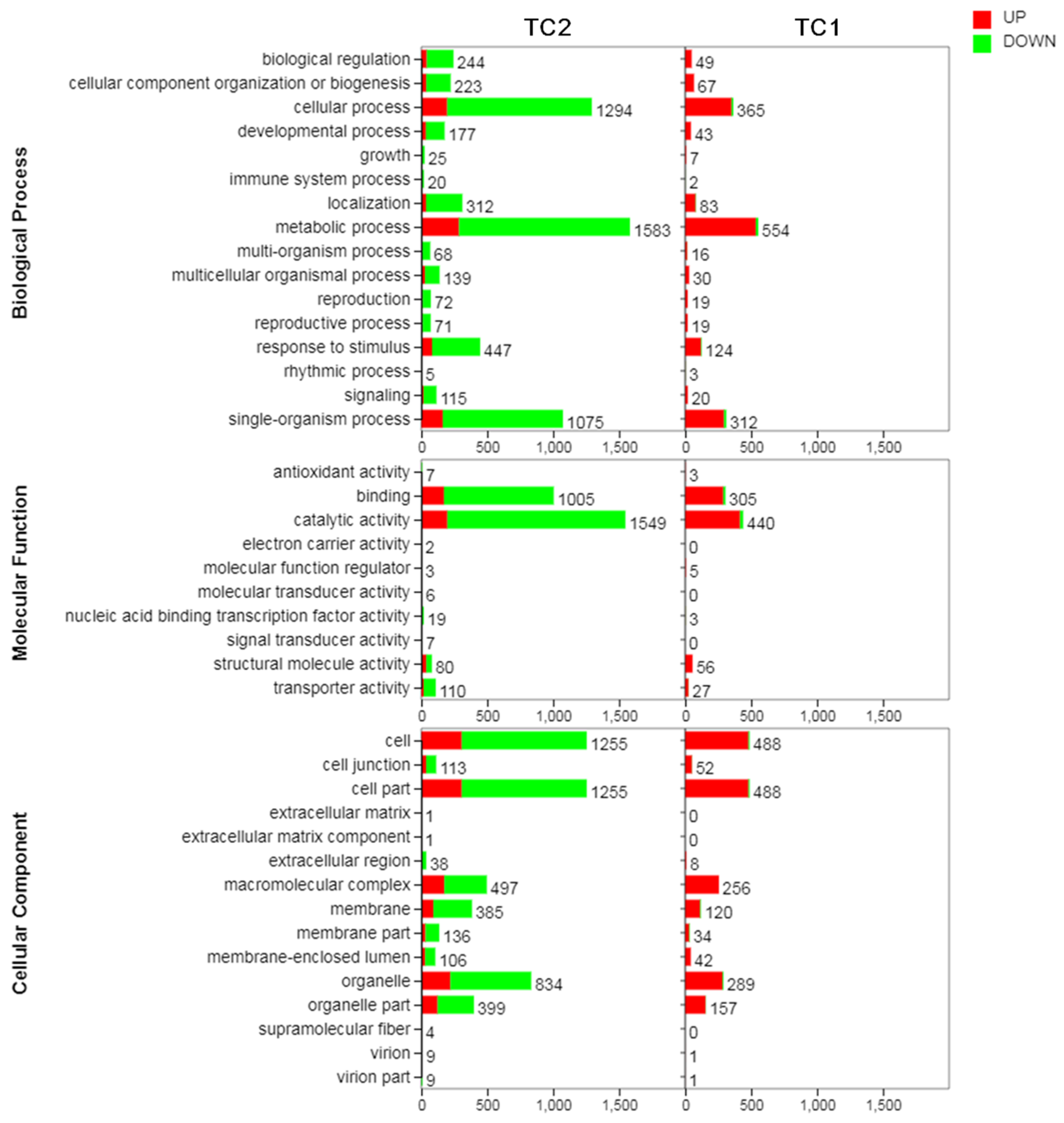 Genes 10 00835 g004