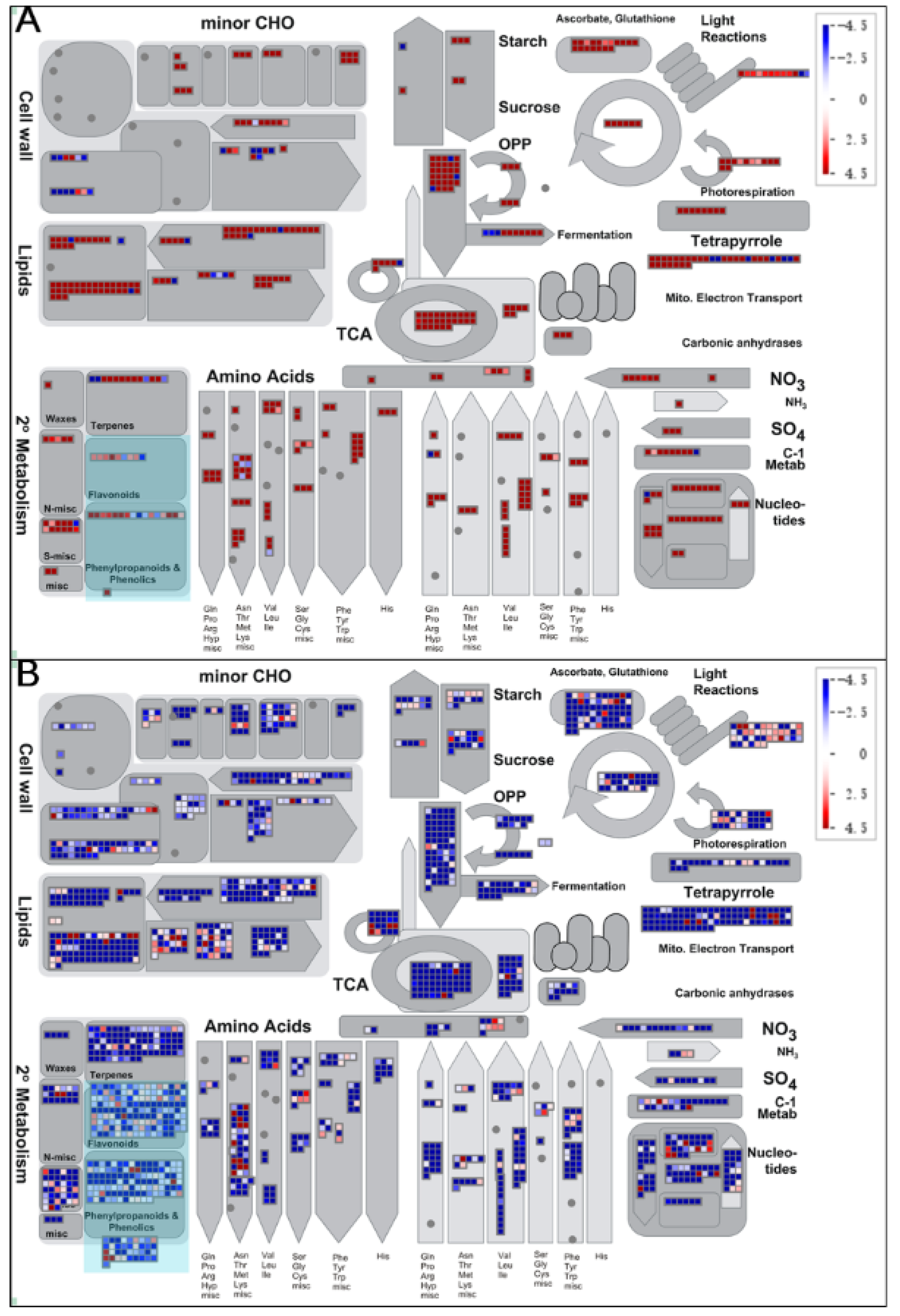 Genes 10 00835 g007