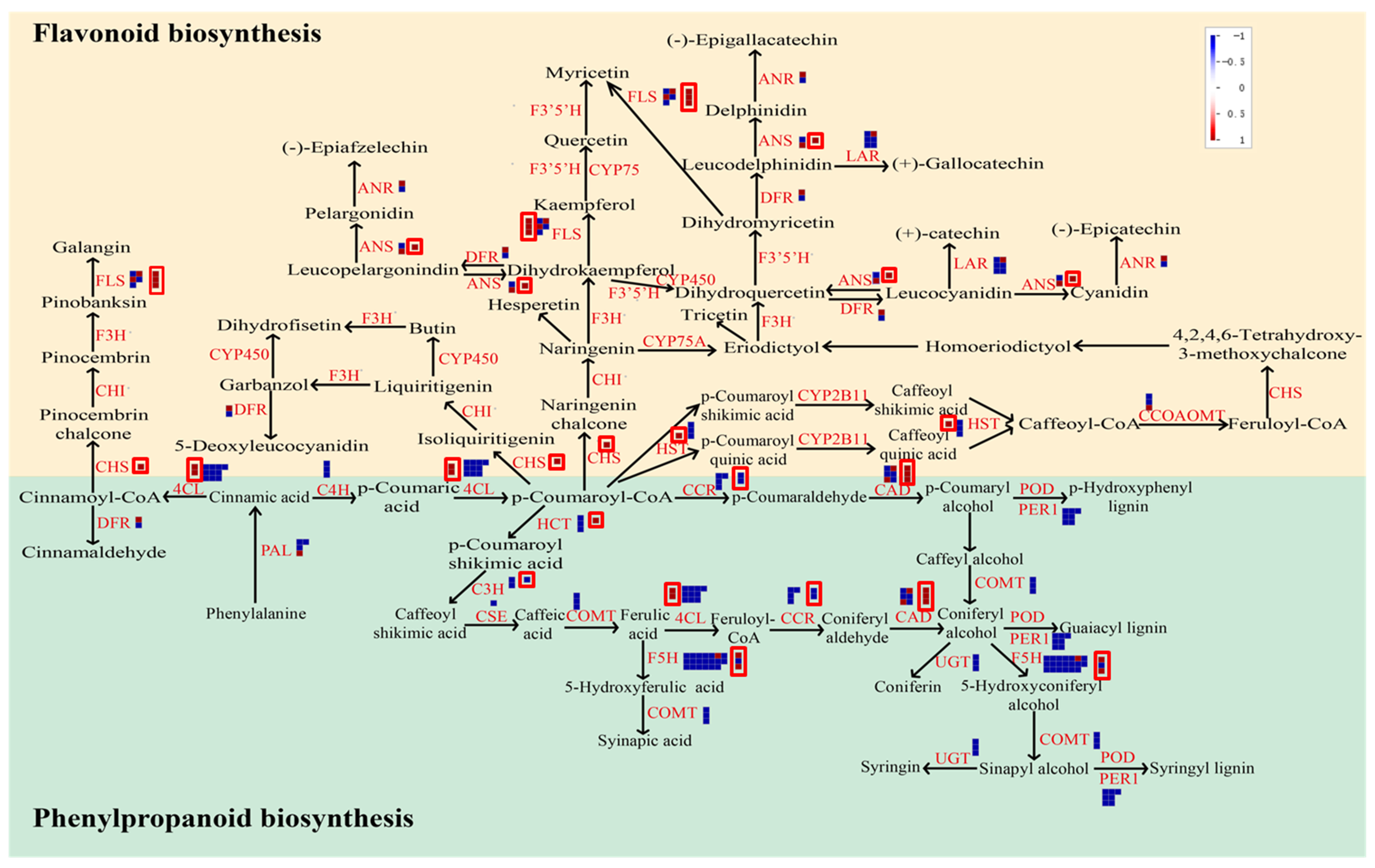 Genes 10 00835 g009
