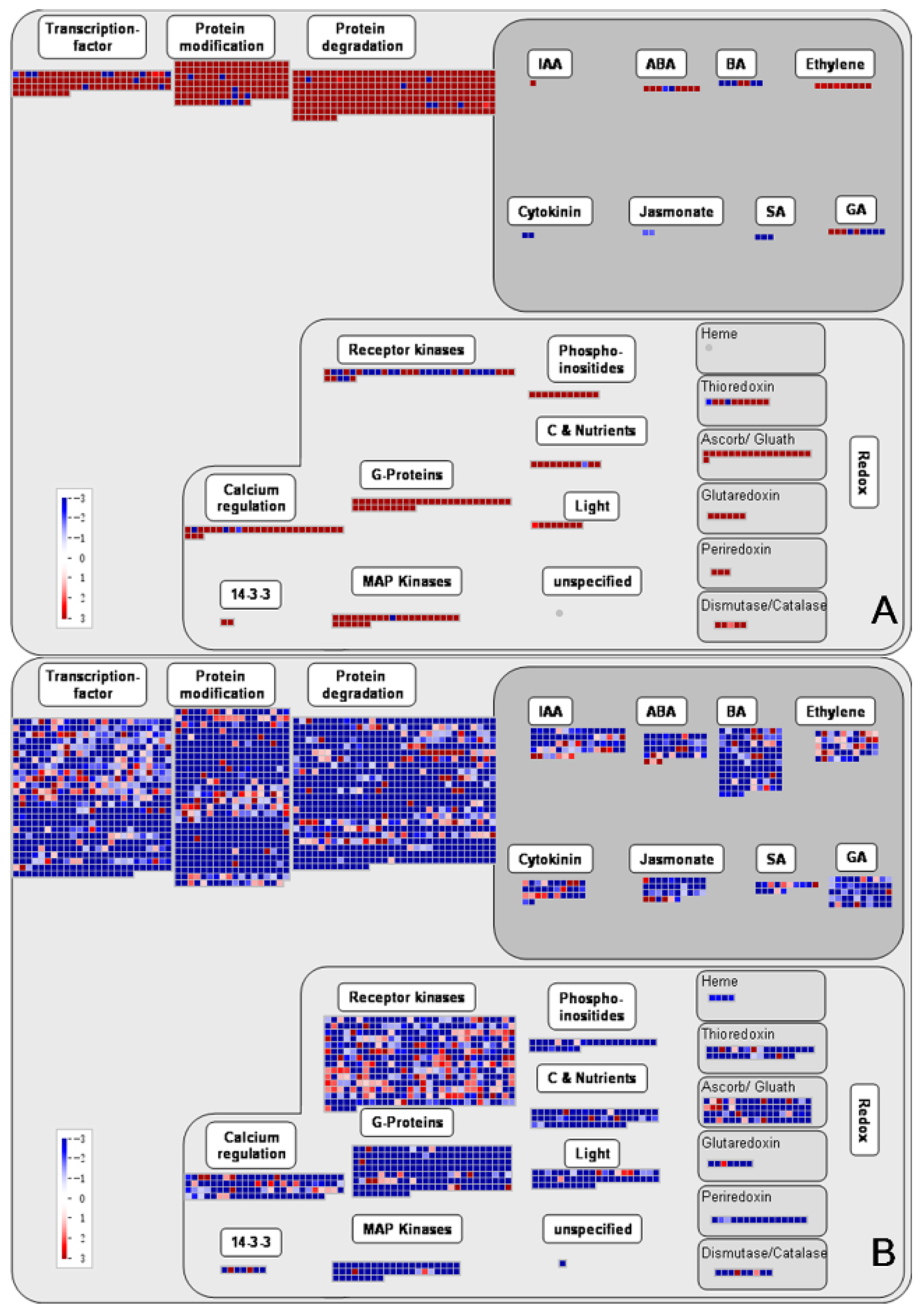 Genes 10 00835 g010